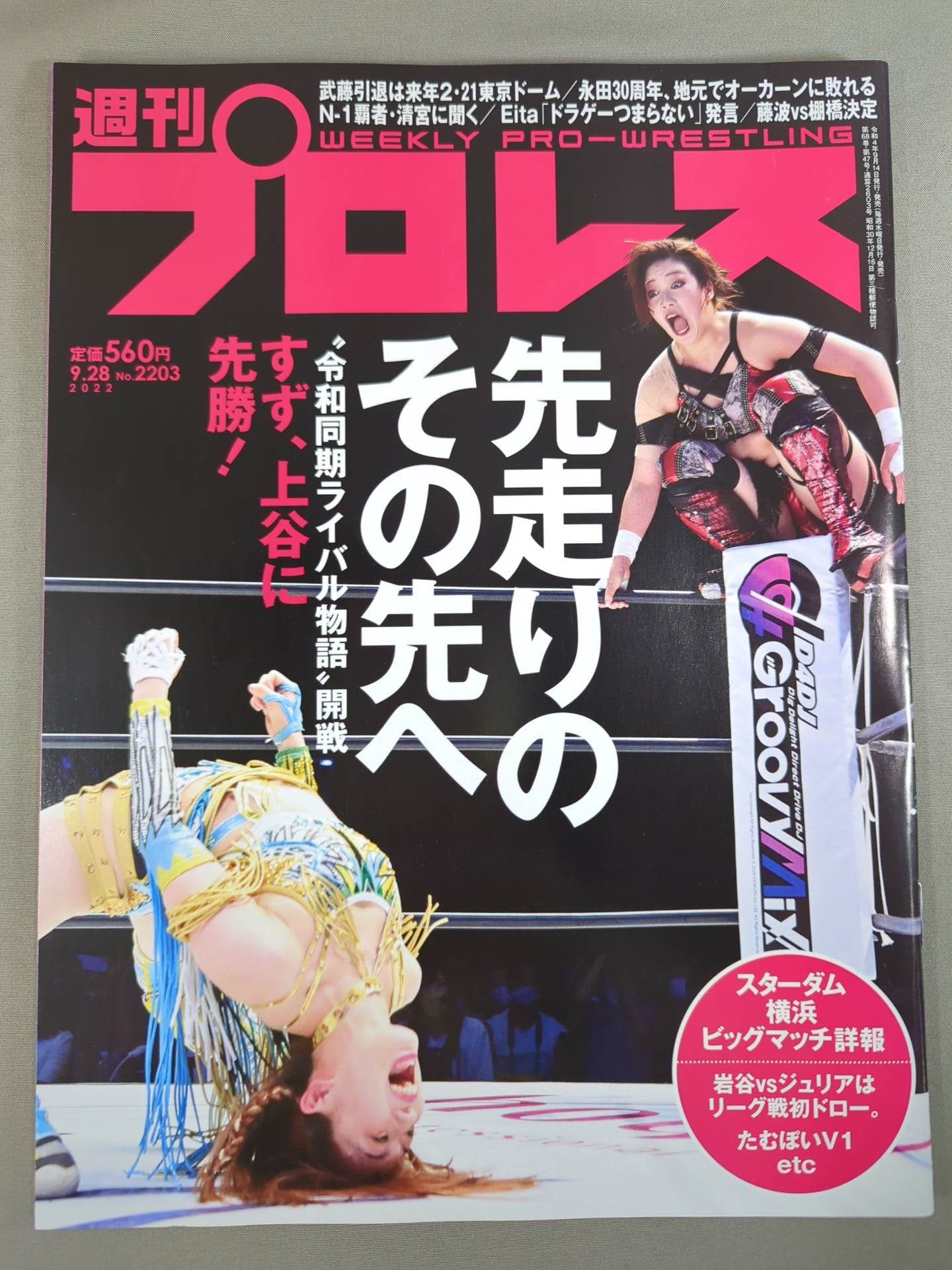 Weekly Pro Wrestling 2203