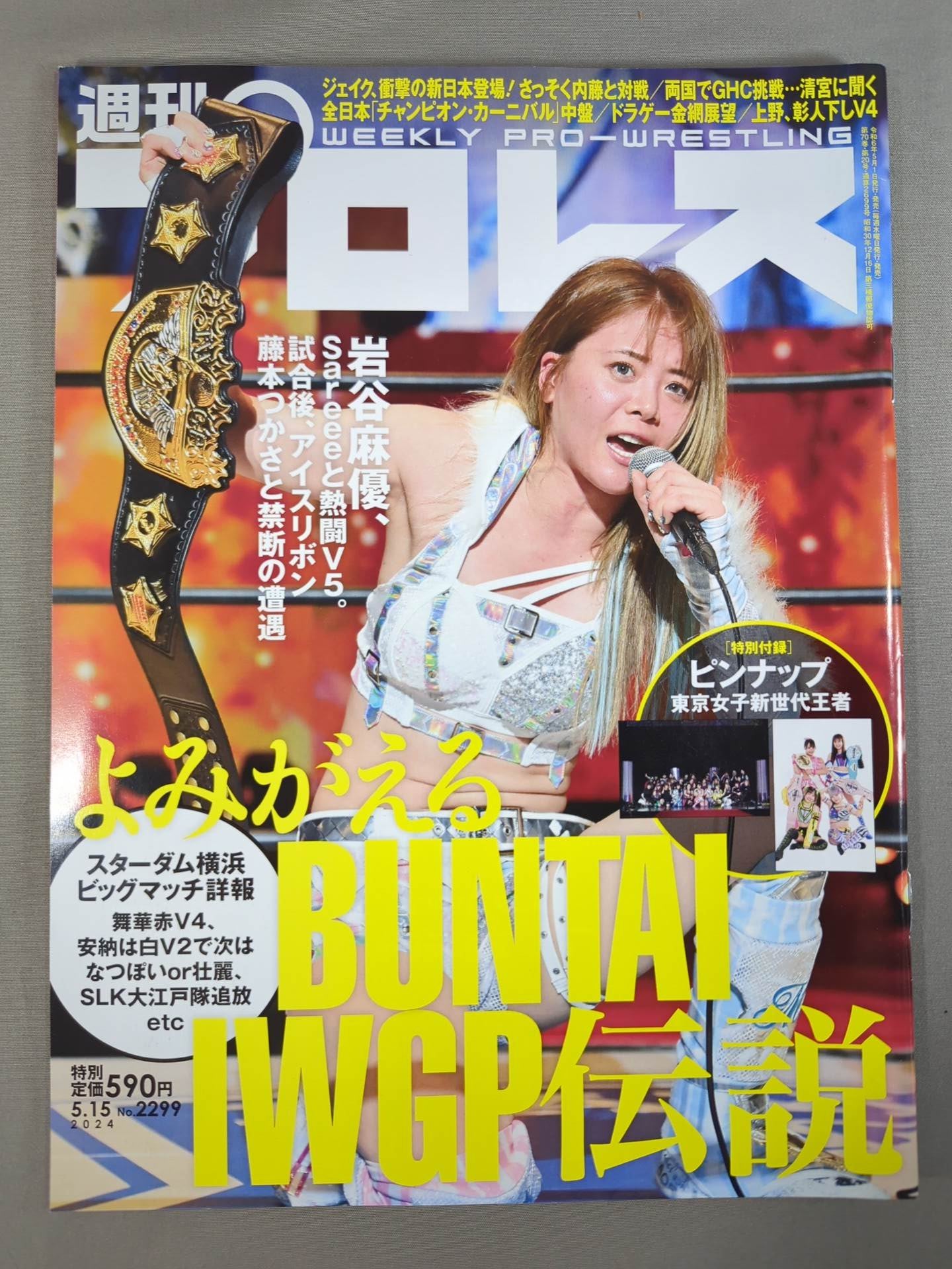 Weekly Pro Wrestling 2299