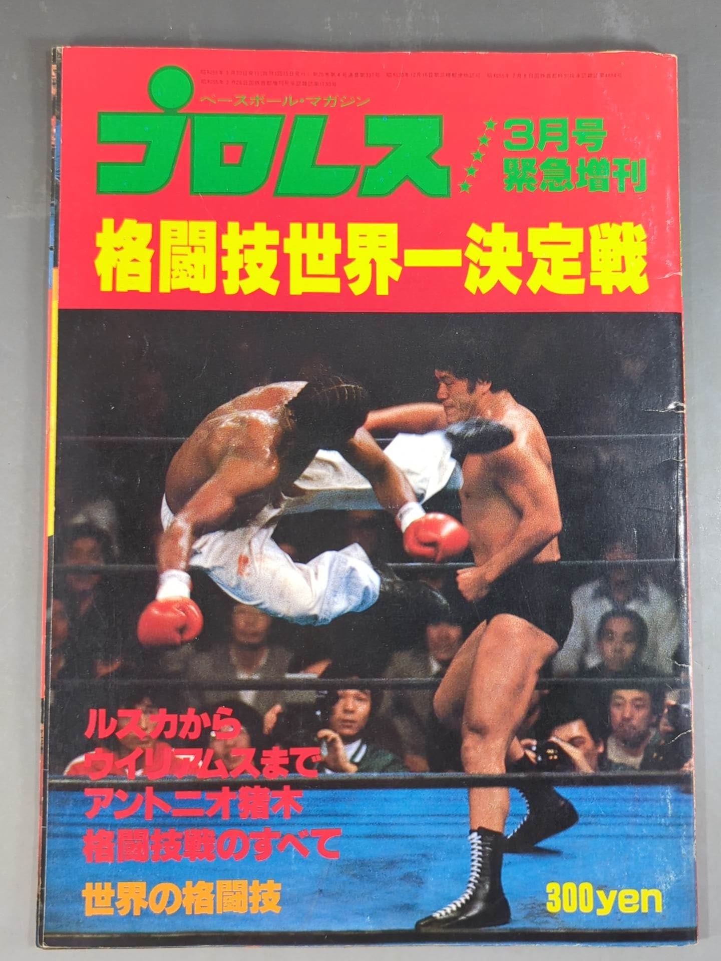 Pro Wrestling Monthly March 1980 Special Issue