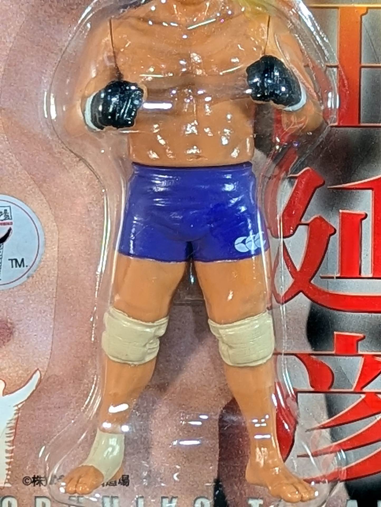 高田延彦(バーリ・トゥード黒グローブ・紫パンツ)