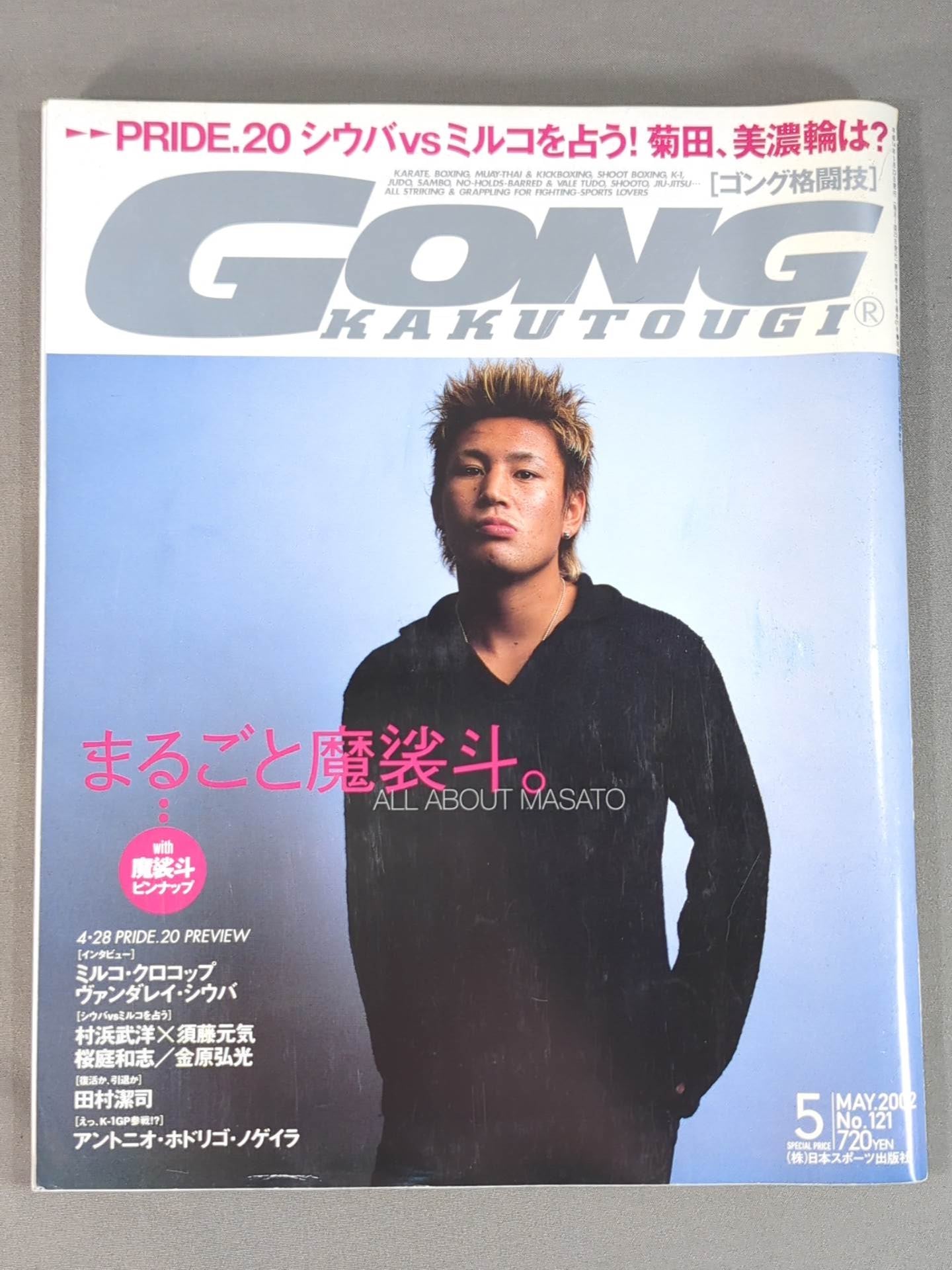 Gong Martial Arts 471