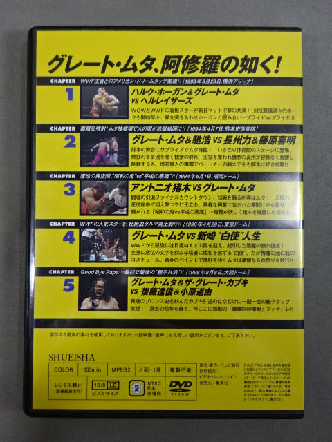 Burn! New Japan Pro Wrestling vol.38