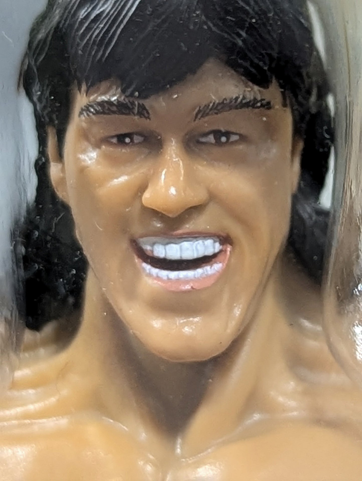 ★ ★ Limited Edition Rick Martel vs Jake Roberts