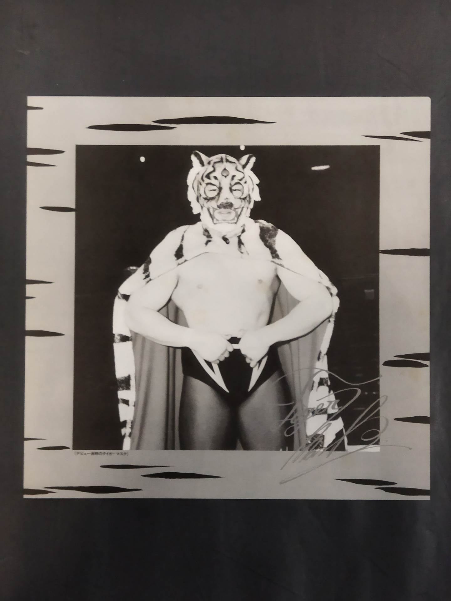 ★ Report card & poster included ★! Tiger Mask