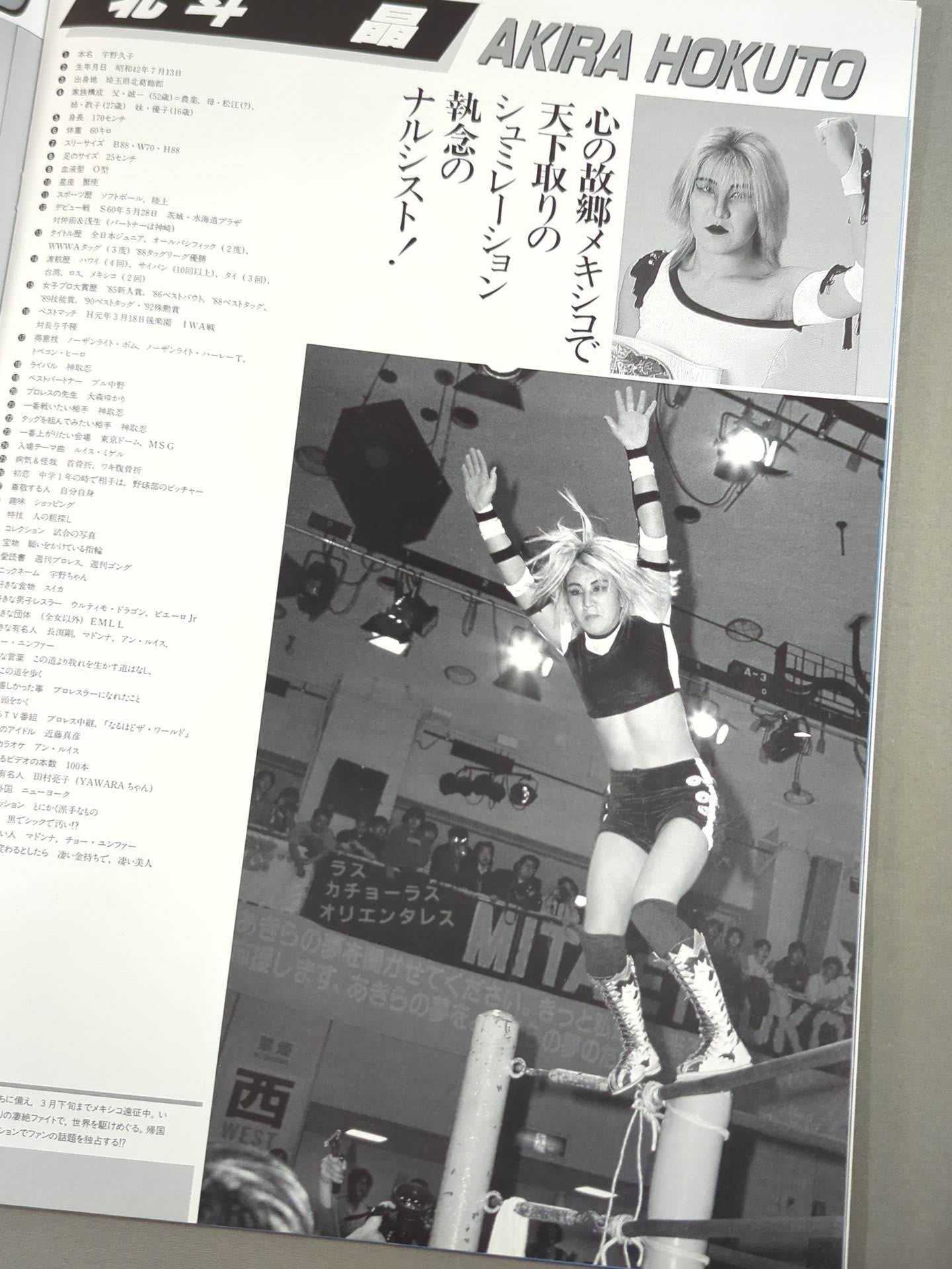 リングスターPROGRAM 1993 SPRING SPECIAL