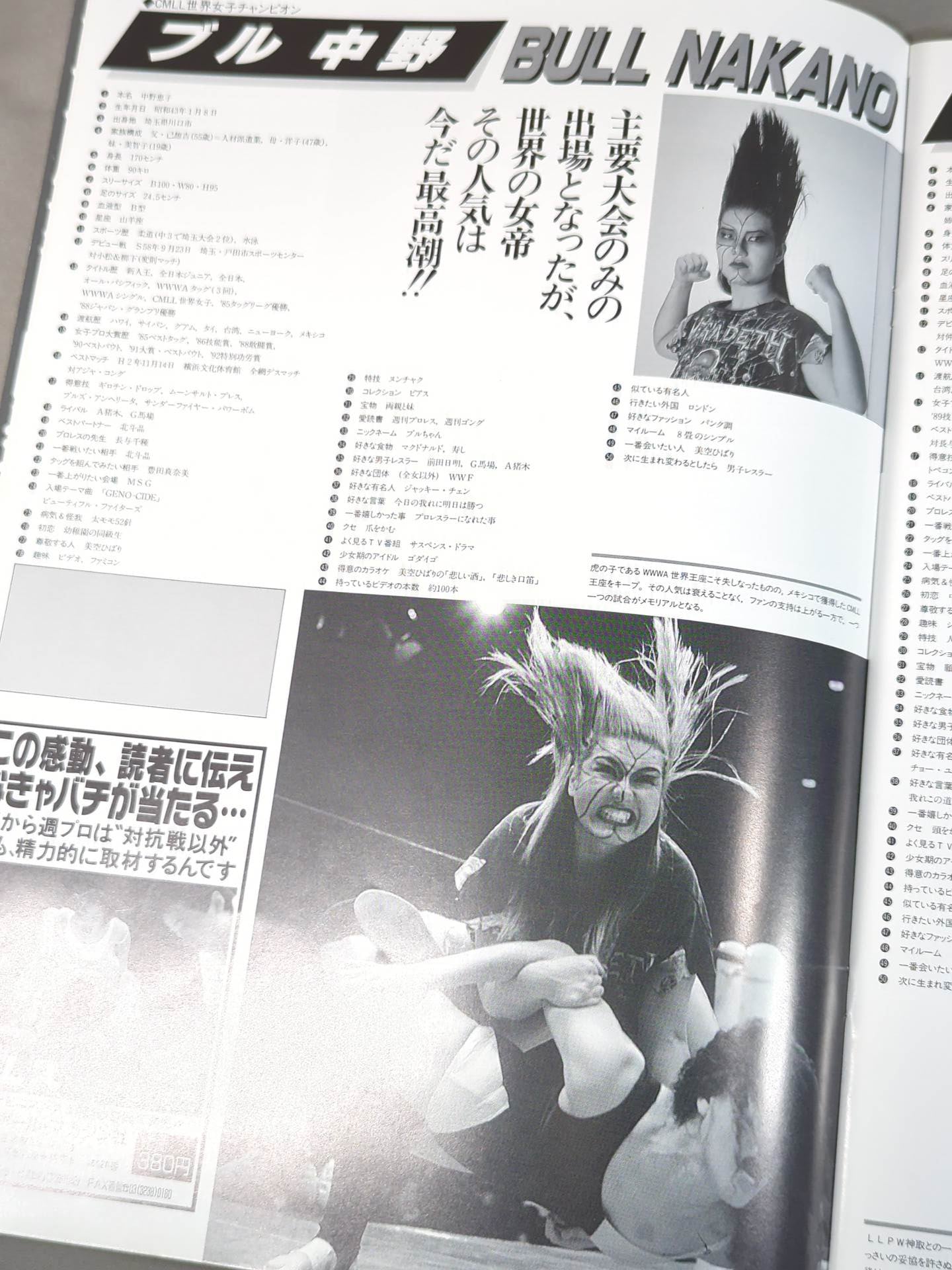 リングスターPROGRAM 1993 SPRING SPECIAL