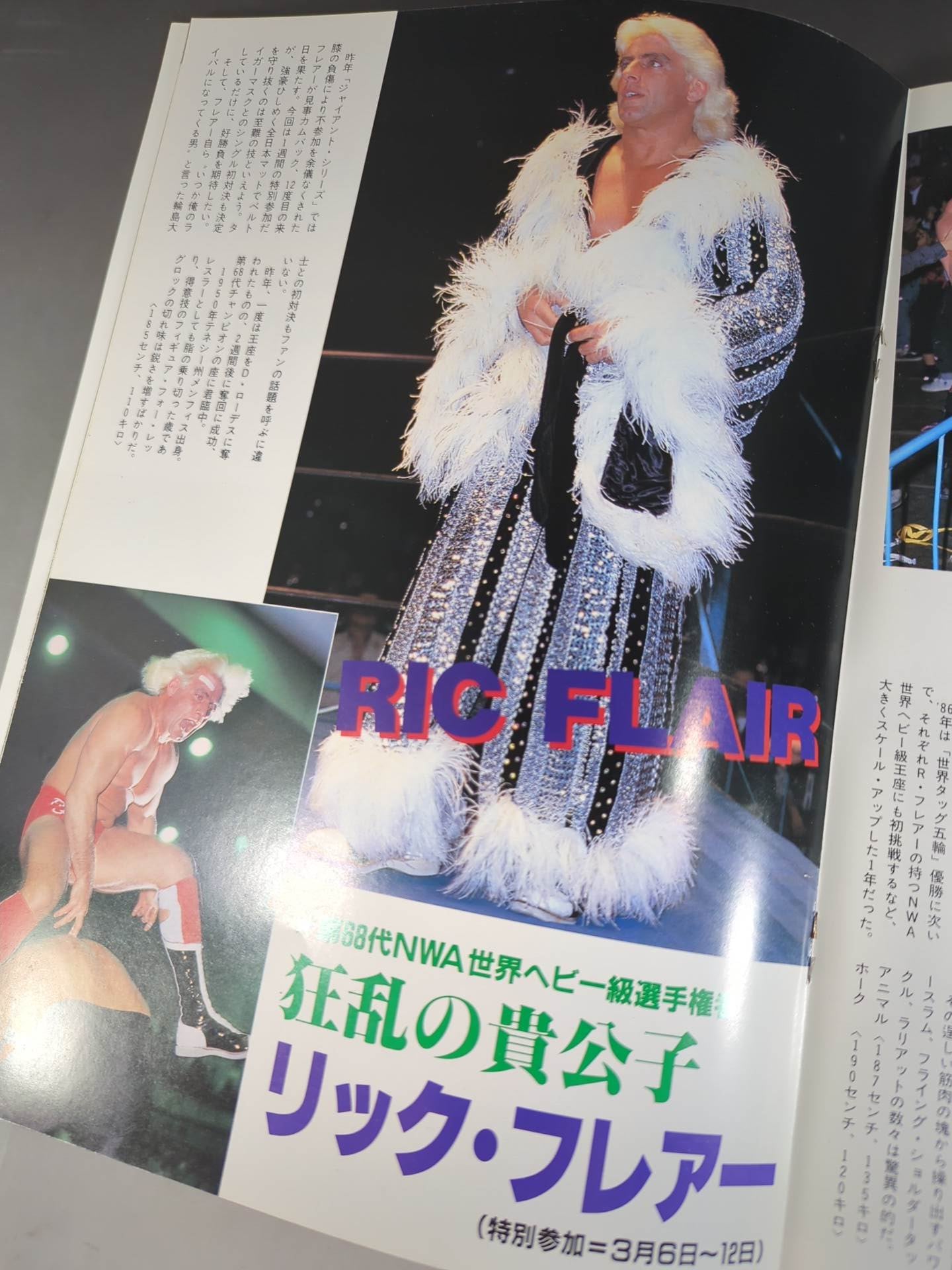 ★谷津vsフレアー NWA戦★ 創立15周年記念 87エキサイト・シリーズ