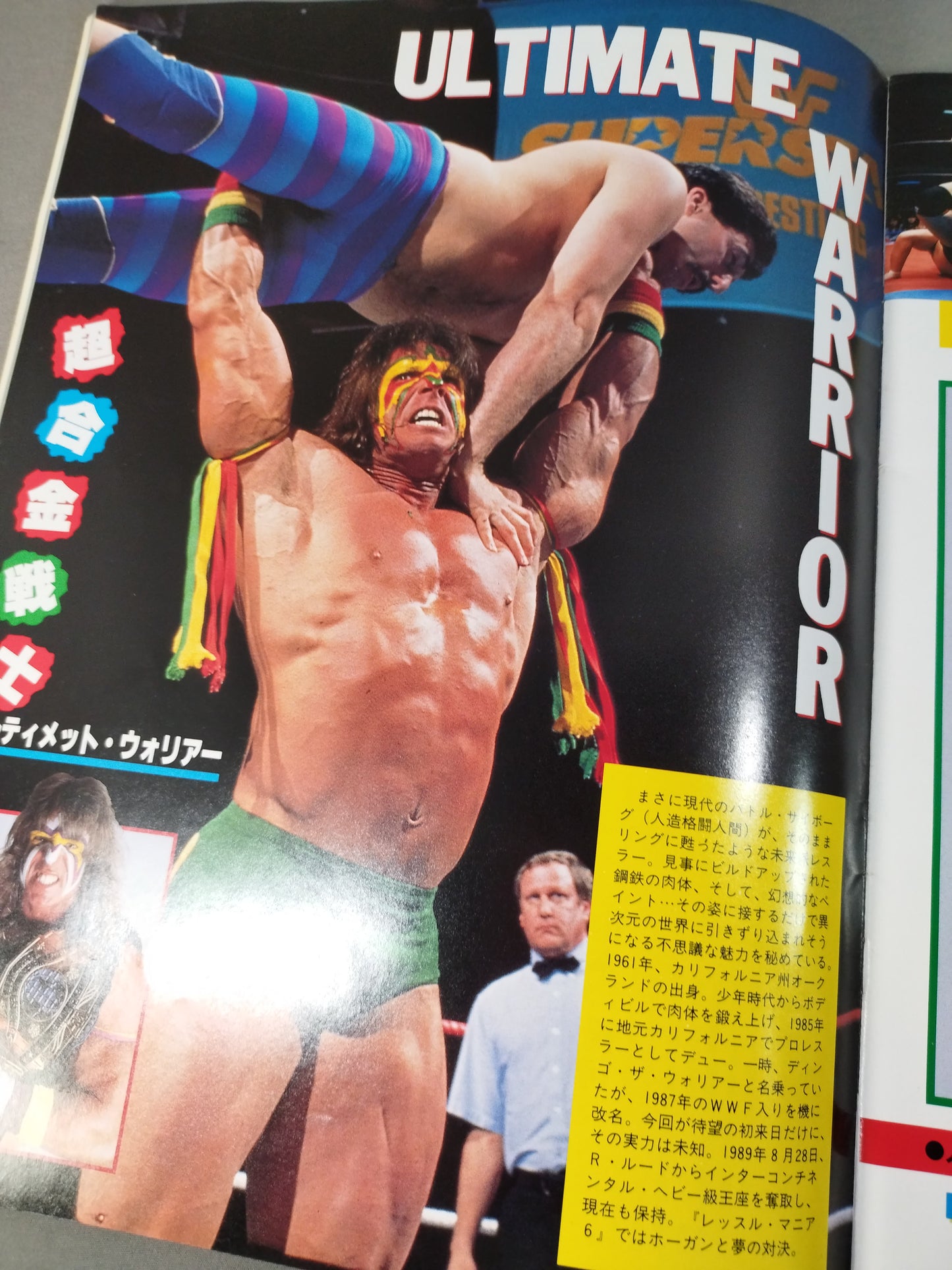 WWF・全日本・新日本 / 日米レスリングサミット