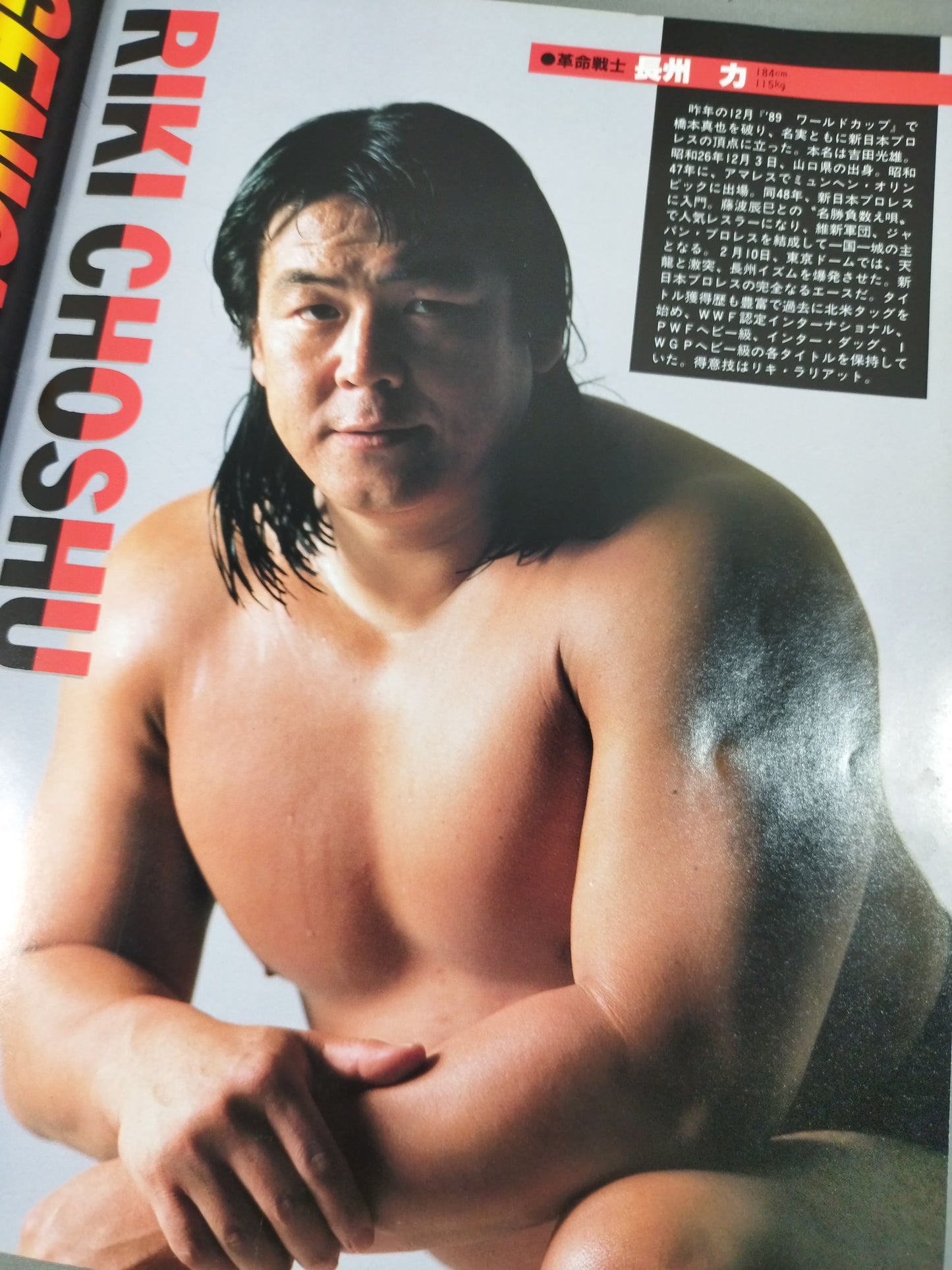 WWF・全日本・新日本 / 日米レスリングサミット