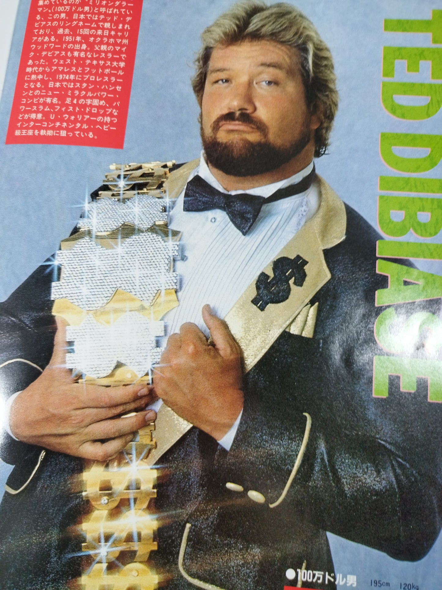 WWF・全日本・新日本 / 日米レスリングサミット