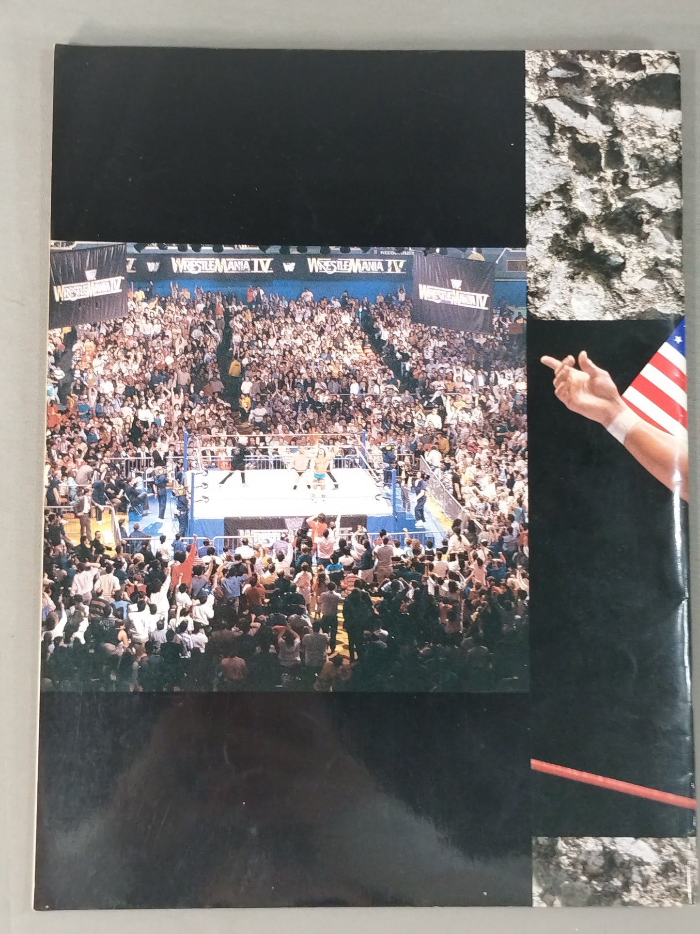 WWF・全日本・新日本 / 日米レスリングサミット
