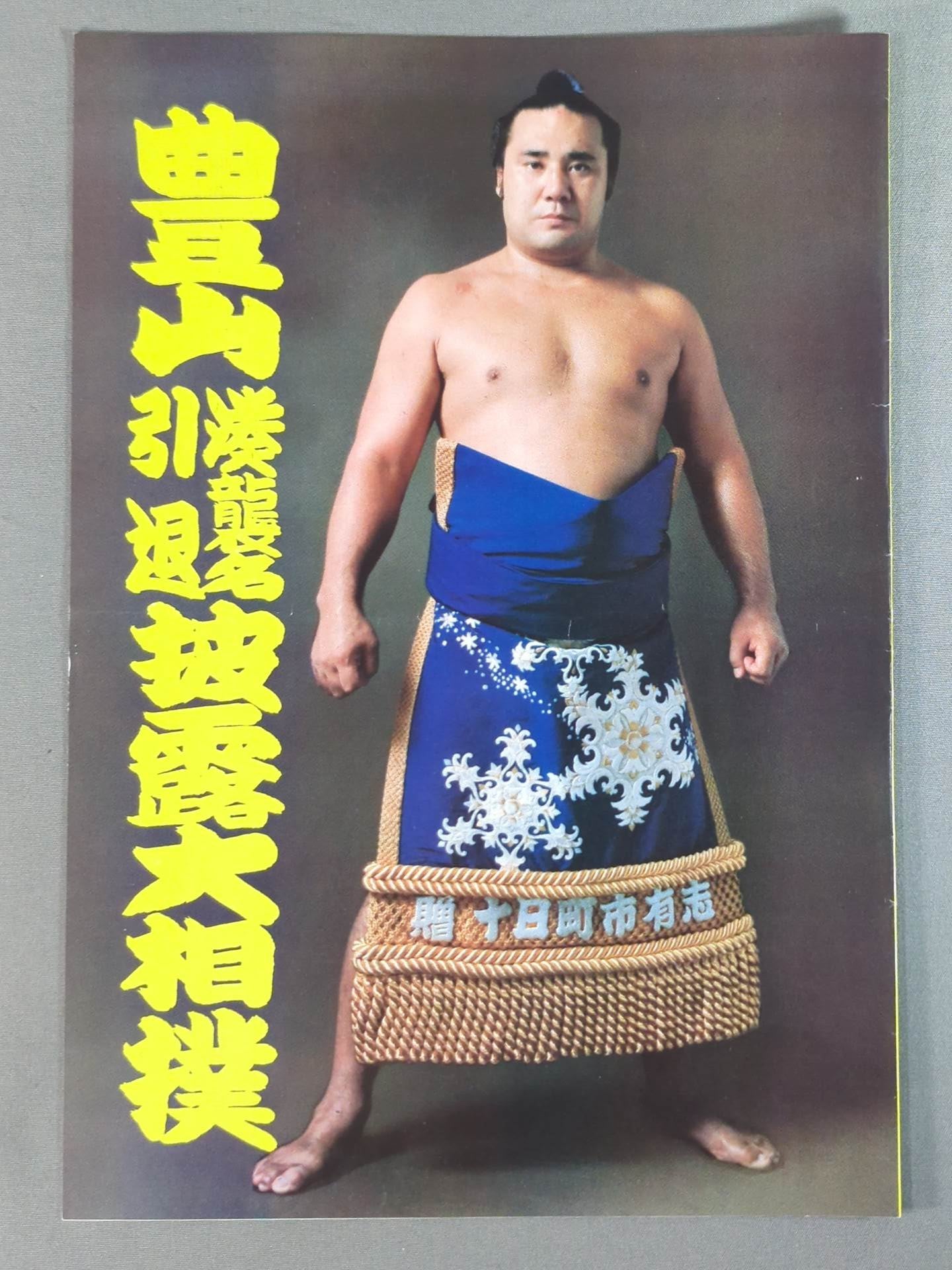 豊山引退・湊襲名 披露大相撲 取組表