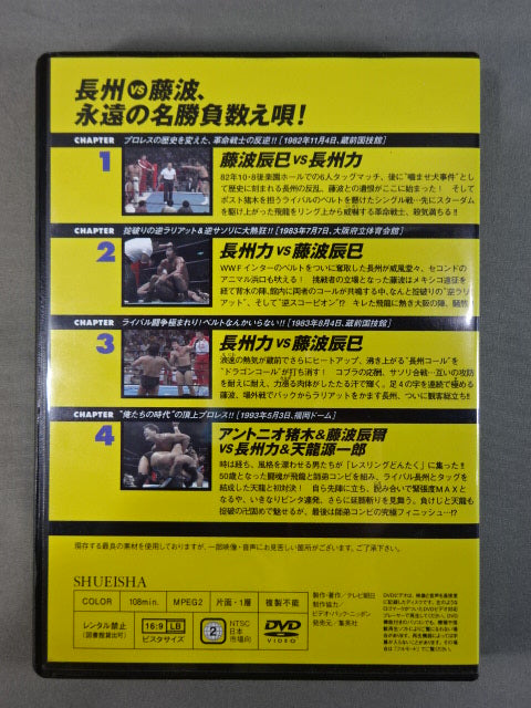 燃えろ!新日本プロレス vol.25