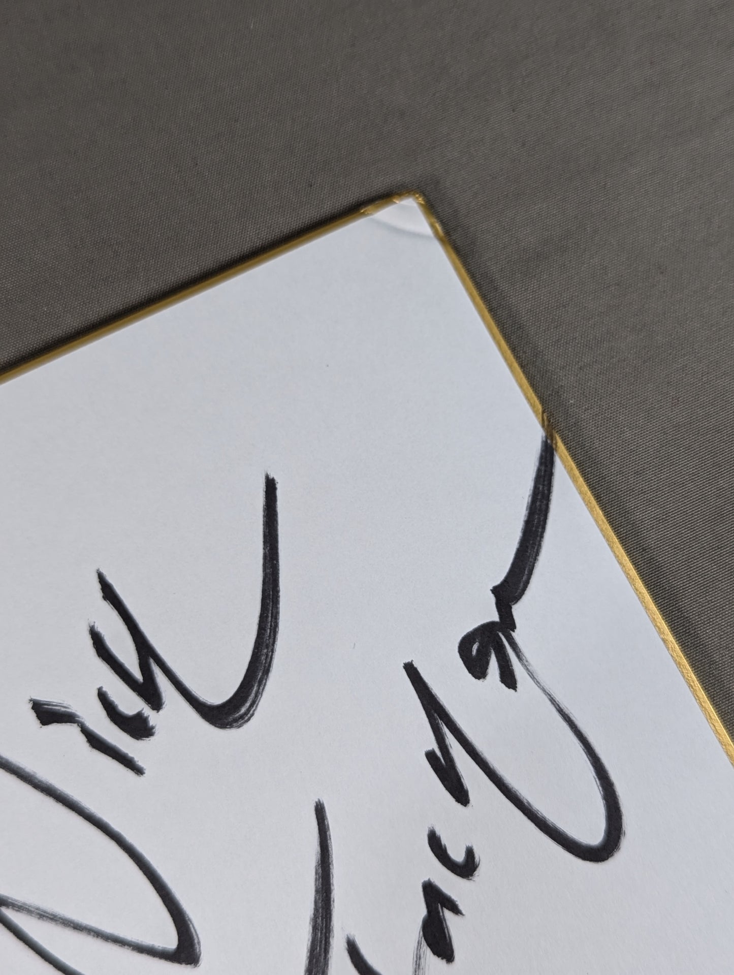 ★ヤング・バックス★ マット・ジャクソン&ニック・ジャクソン