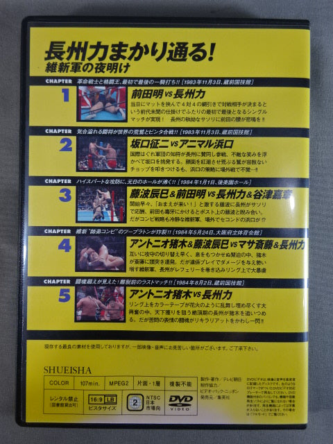 燃えろ!新日本プロレス vol.13