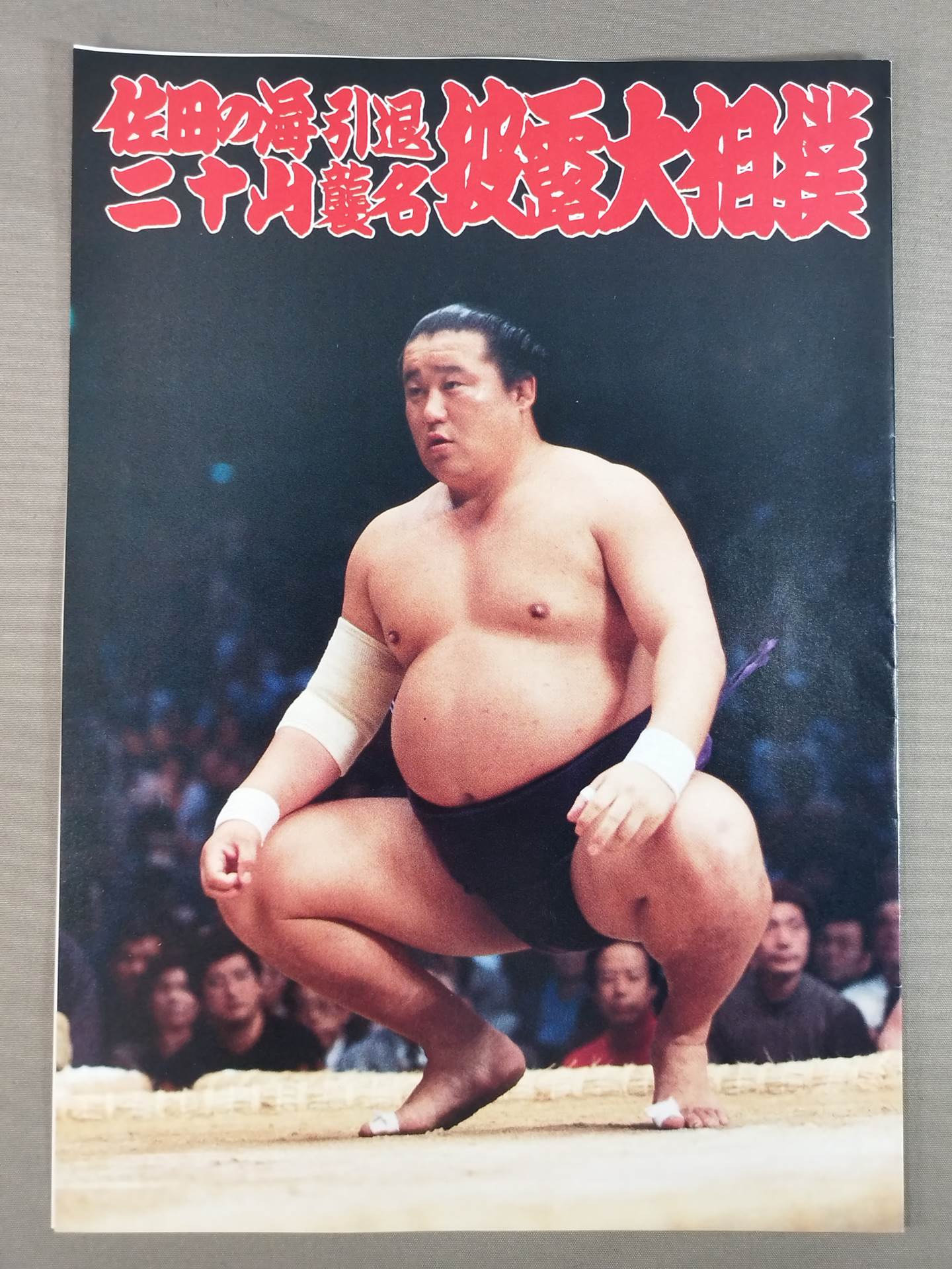 佐田の海引退・二十山襲名 披露大相撲 取組表