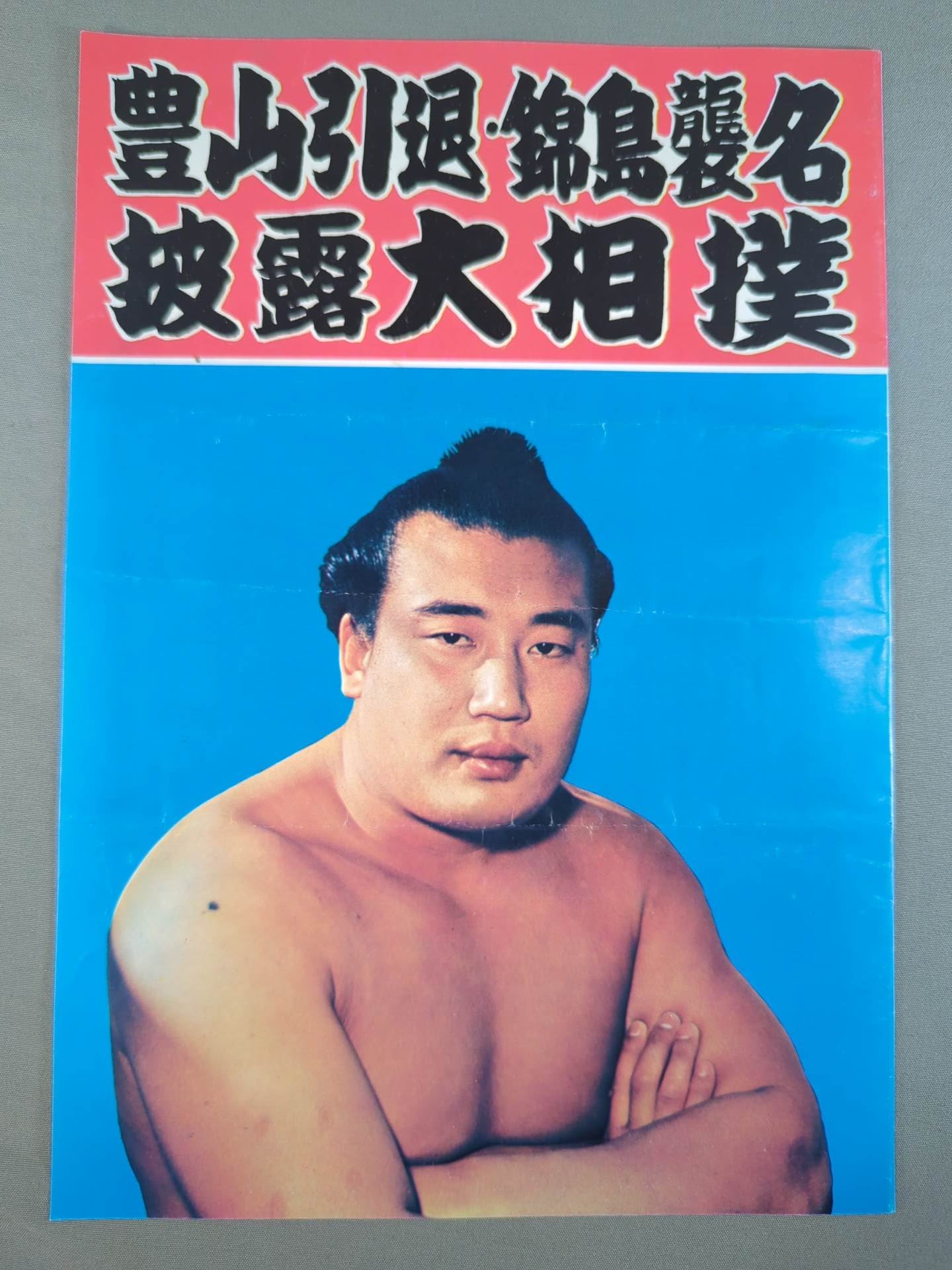 豊山引退・錦島襲名 披露大相撲 取組表&パンフレット