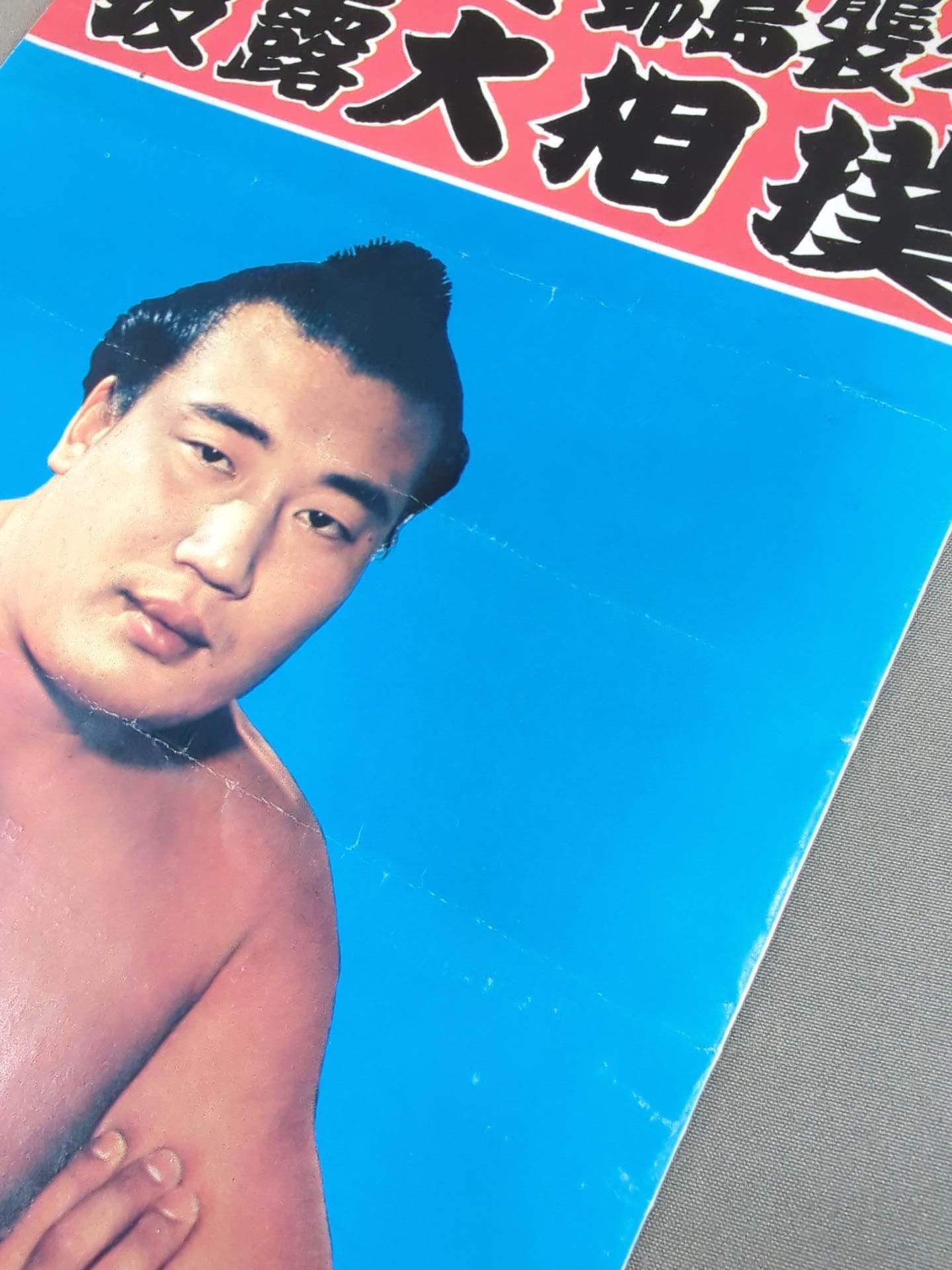 豊山引退・錦島襲名 披露大相撲 取組表&パンフレット
