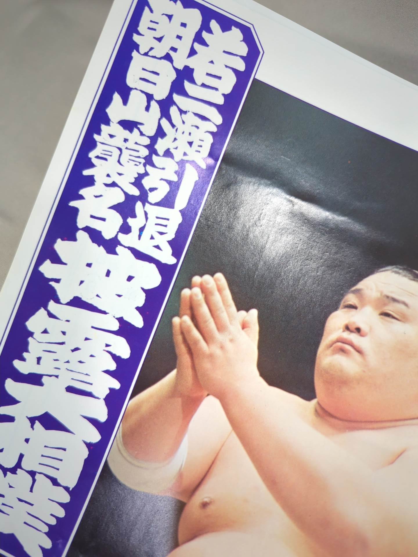若二瀬引退・朝日山襲名 披露大相撲 取組表