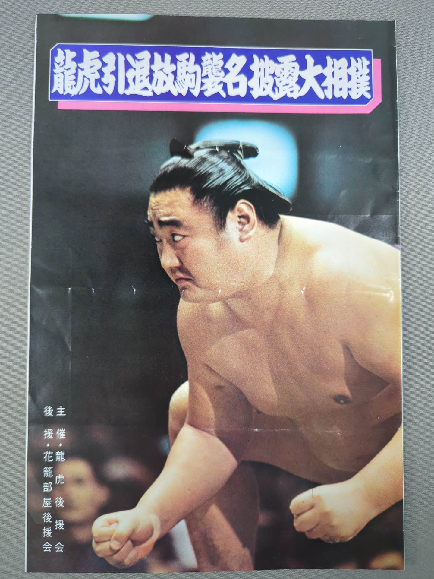 龍虎引退・放駒襲名 披露大相撲 取組表