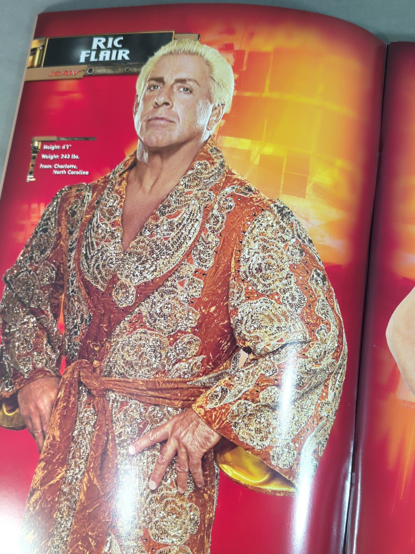 WWE SUPERSHOW OFFICIAL SOUVENIR PROGRAM 2005