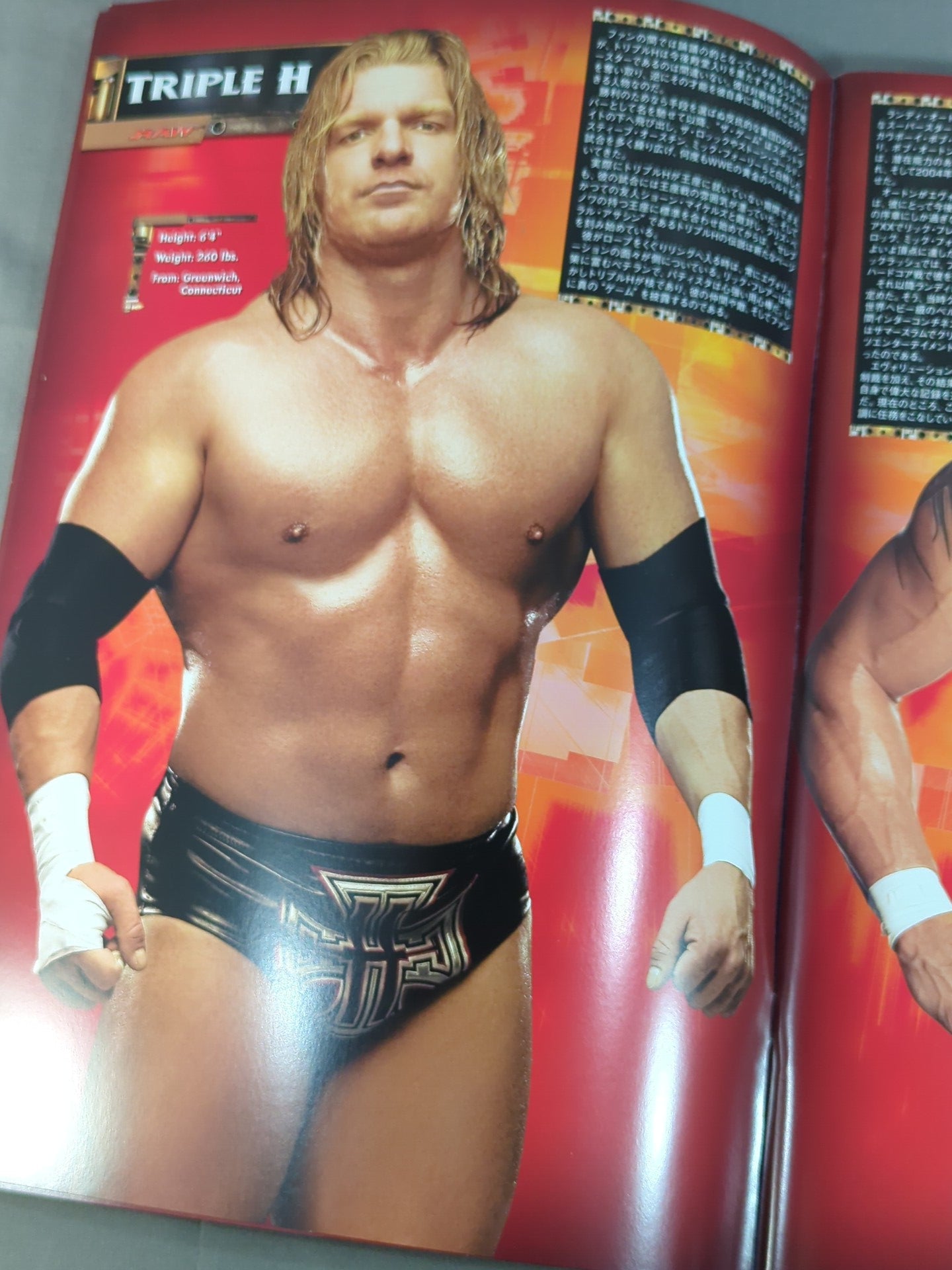 RAW&SMACKDOWN OFFICIAL SOUVENIR PROGRAM 2005 (A)