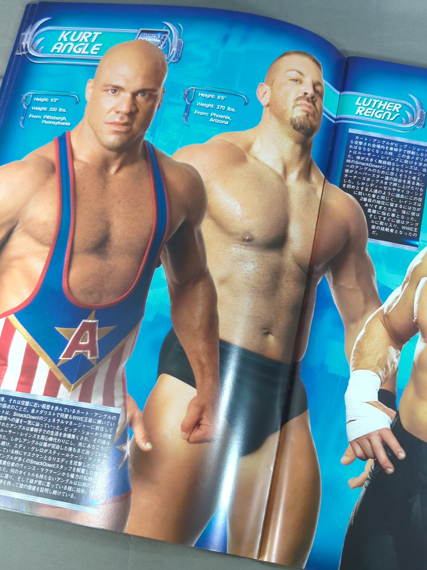 RAW&SMACKDOWN OFFICIAL SOUVENIR PROGRAM 2005 (A)