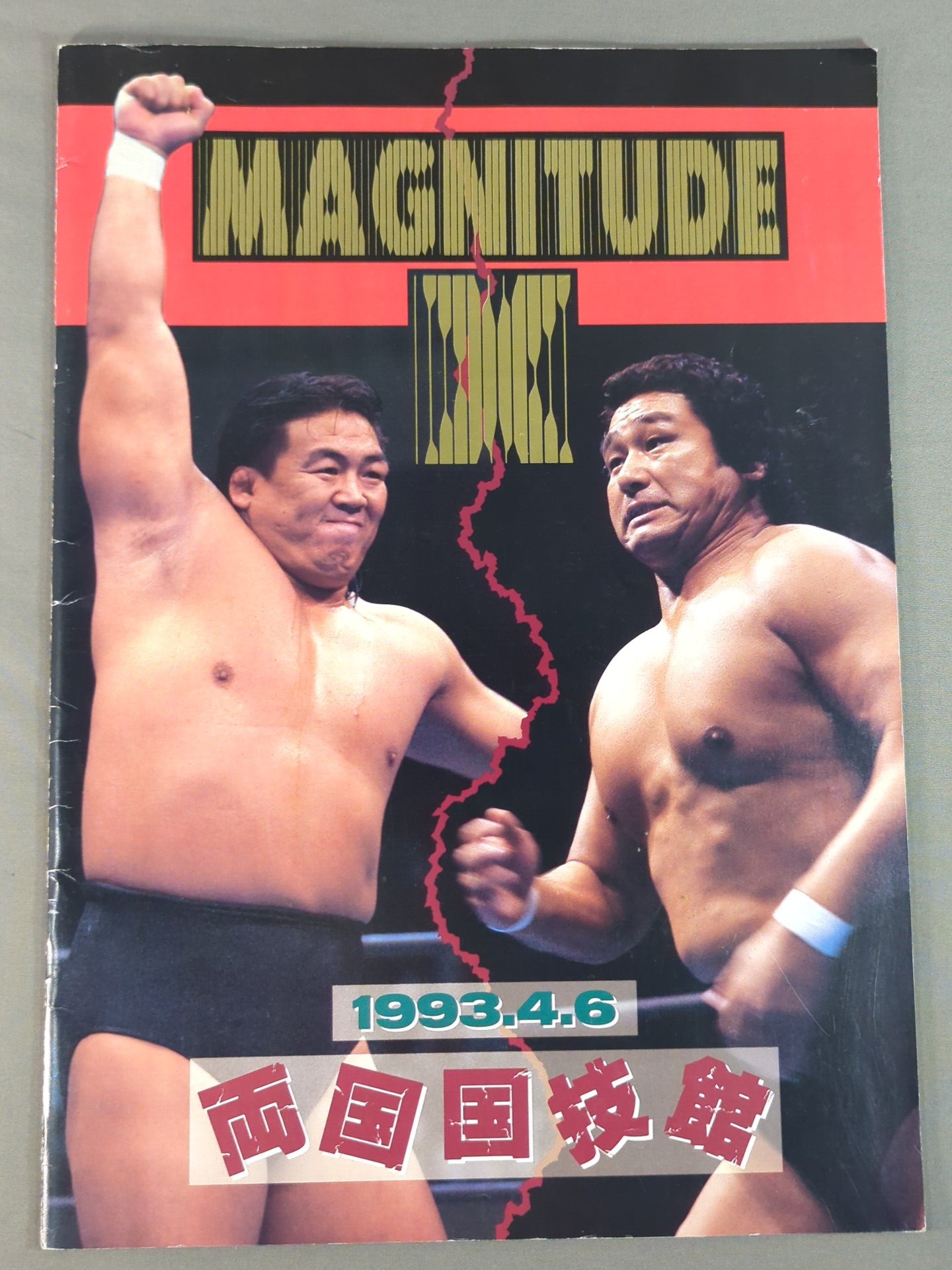 ★ Tenryu vs Riki Choshu ★ MAGNITUDE X / Magnitude X