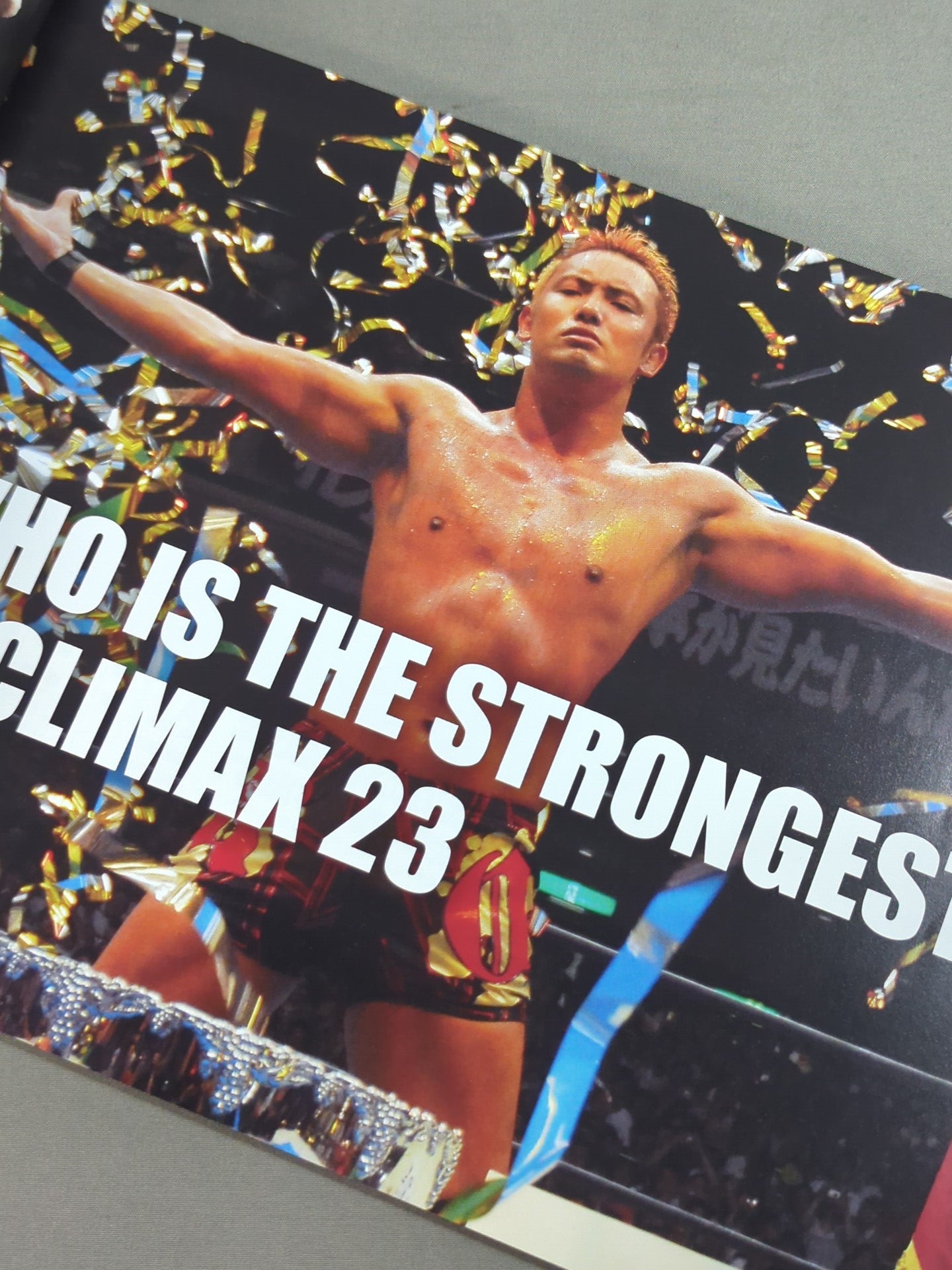 ★2013 G1 Finals ★ G1 CLIMAX 23 / G1 CLIMAX 23