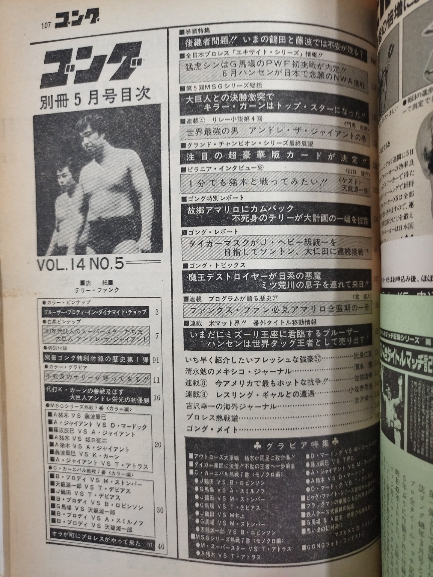 別冊ゴングVol.14 No.5