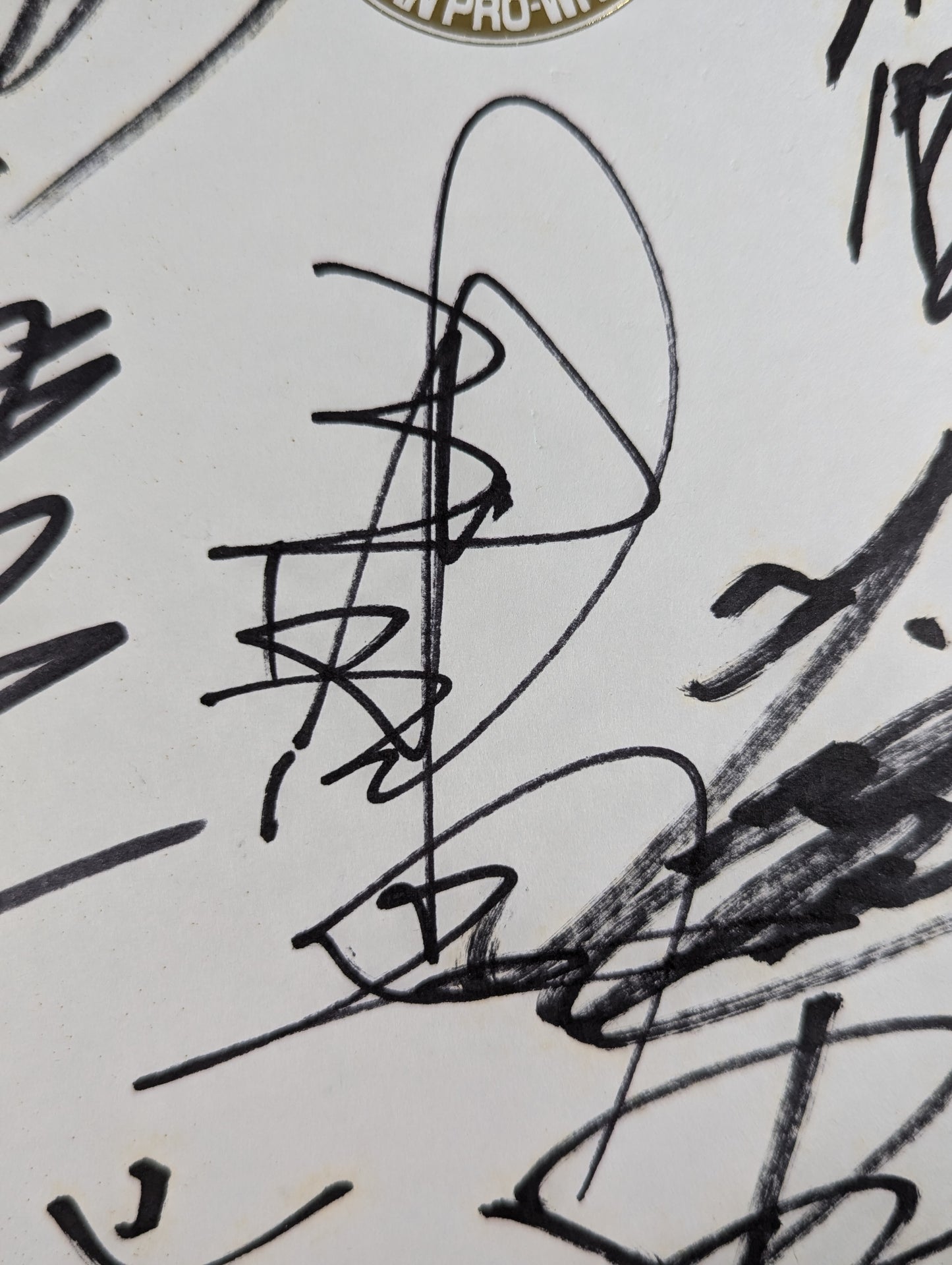 ★野毛道場★ 新日本プロレス 9選手寄せ書き(ライオンマーク色紙)