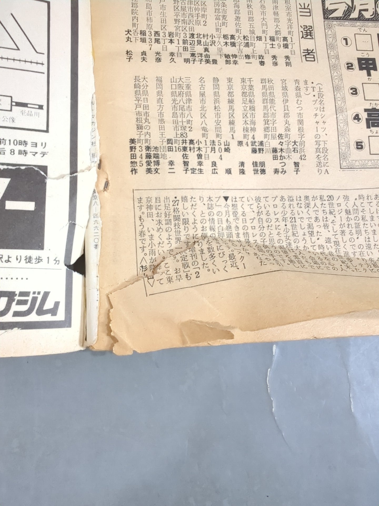 月刊プロレス 1980年4月号