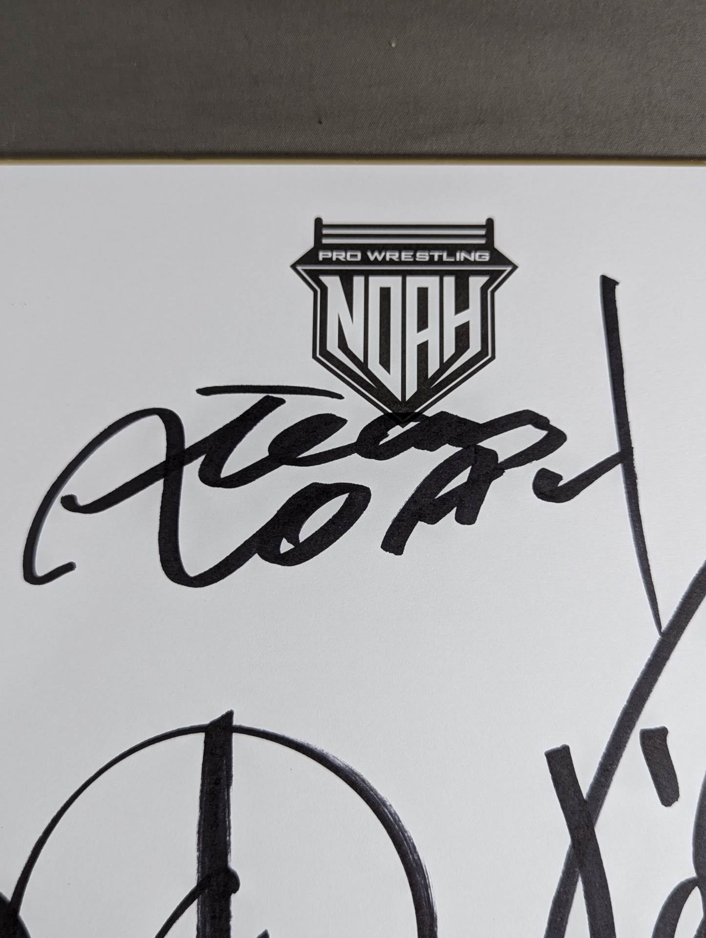 ★TEAM NOAH★ モハメド ヨネ&潮崎豪(NOAH専用色紙)