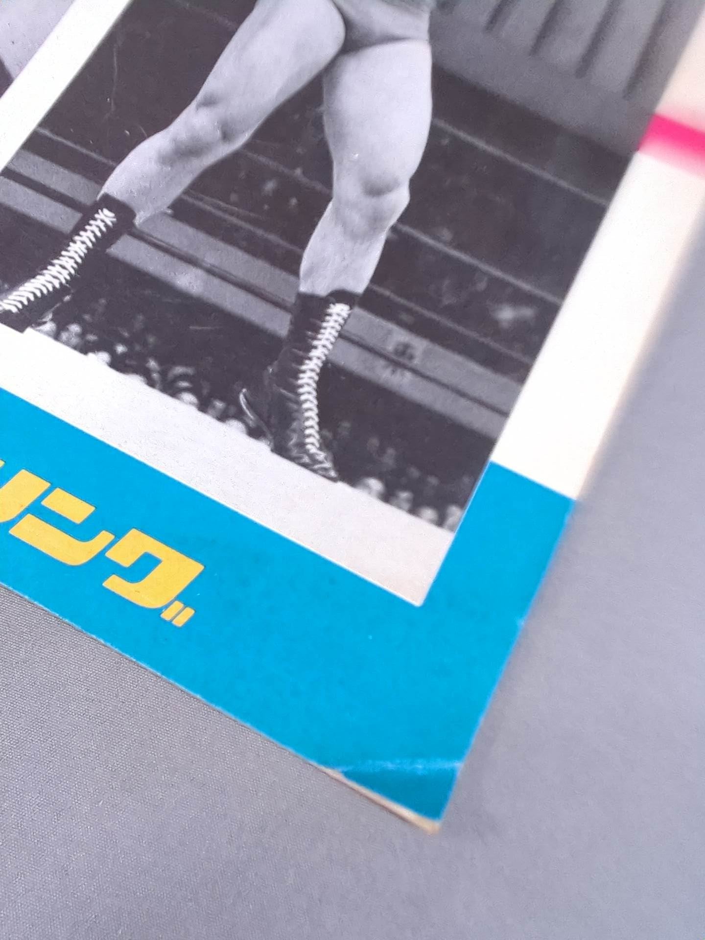 74ゴールデンファイトシリーズ