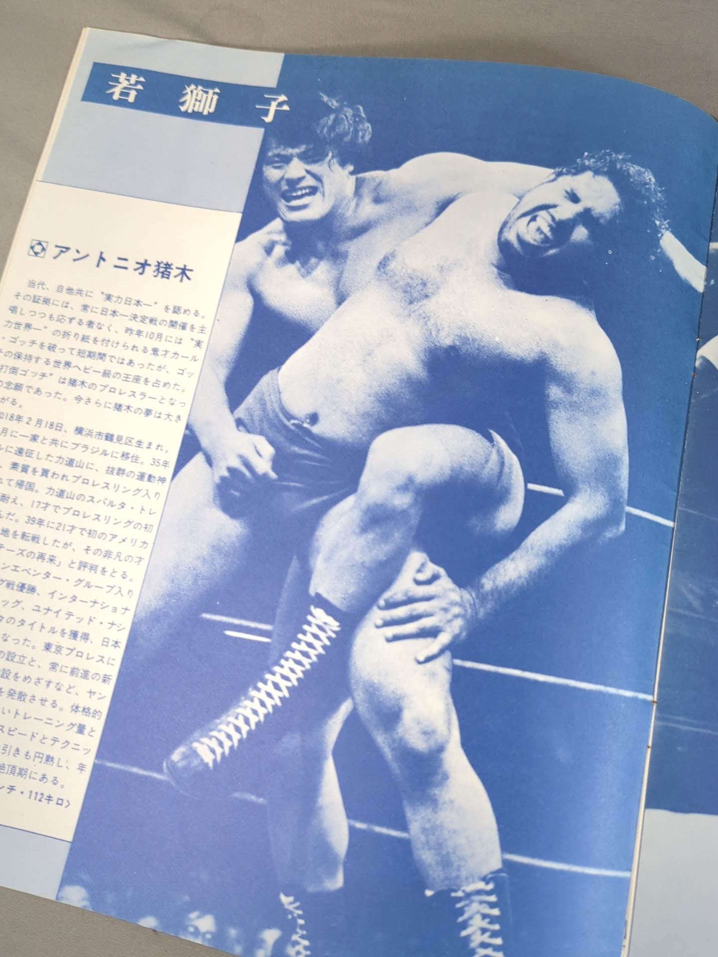 73サマービッグファイトシリーズ