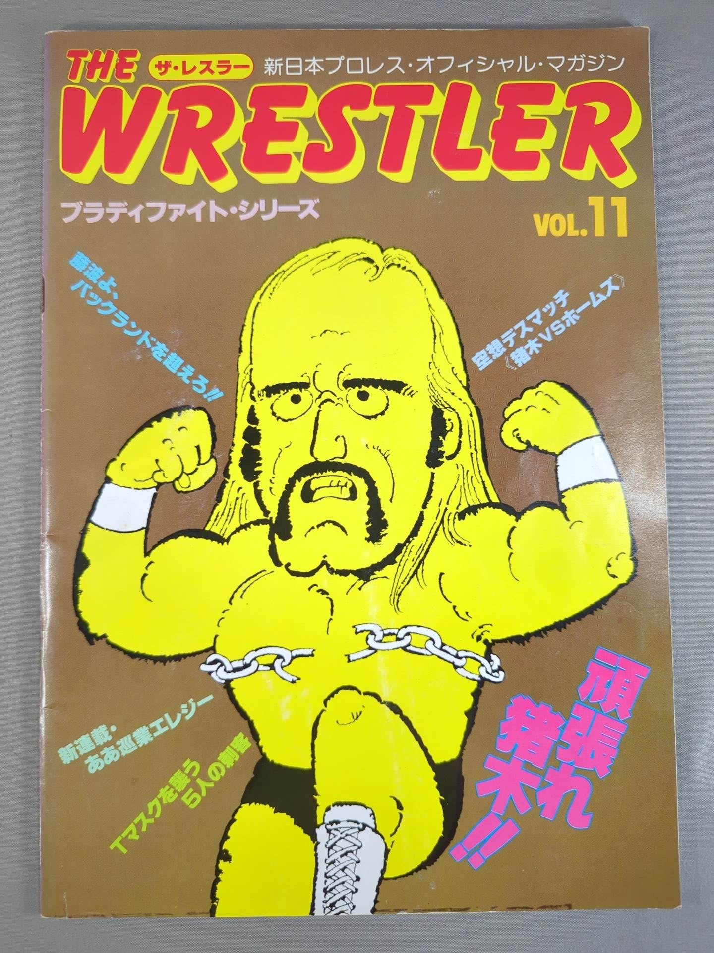 THE WRESTLER ブラッディファイト・シリーズ Vol.11