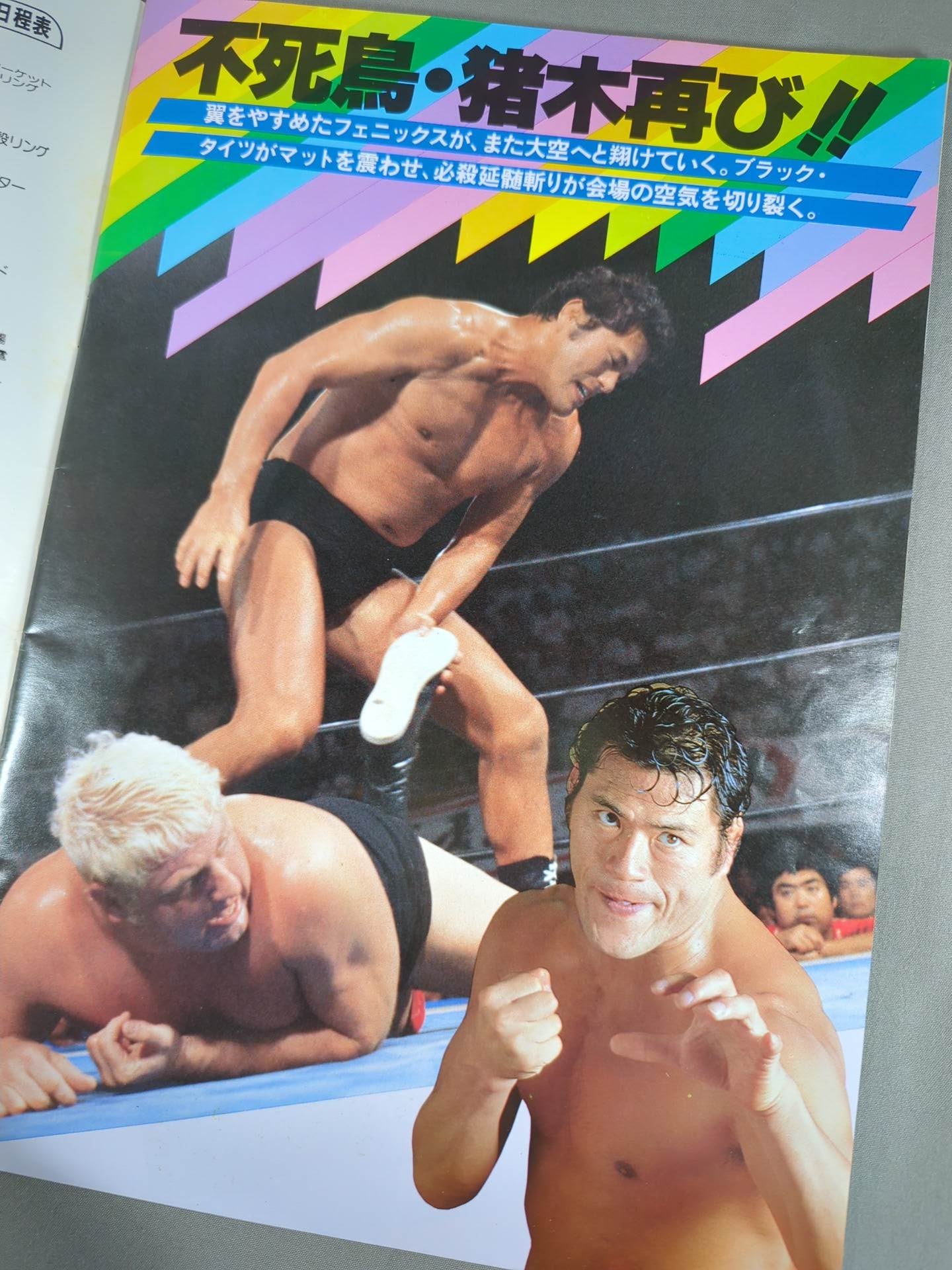 THE WRESTLER ブラッディファイト・シリーズ Vol.11