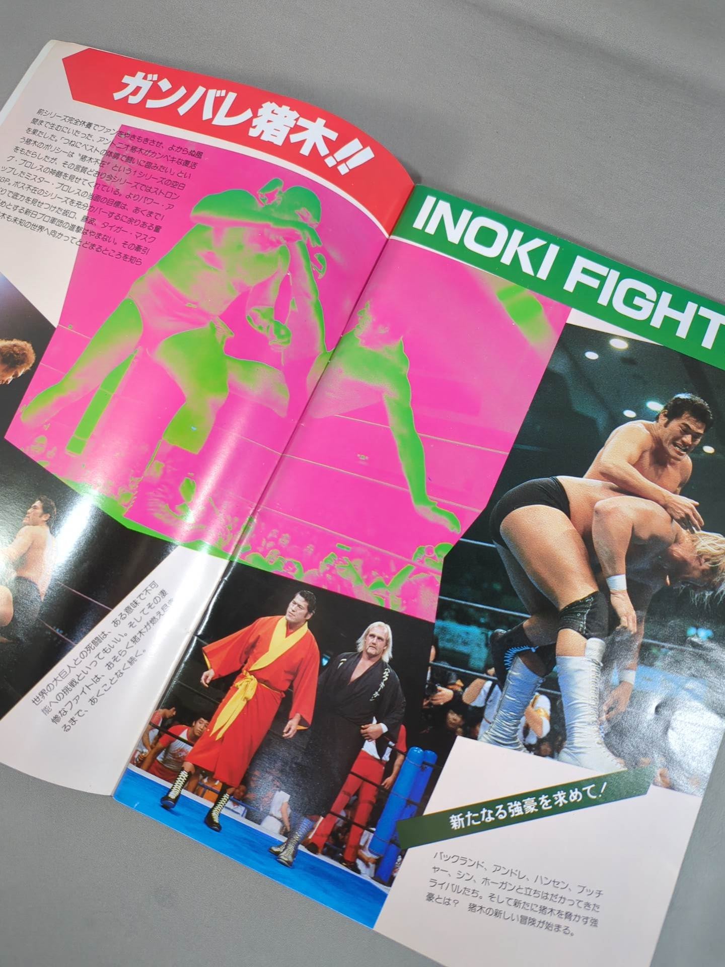 THE WRESTLER ブラッディファイト・シリーズ Vol.11