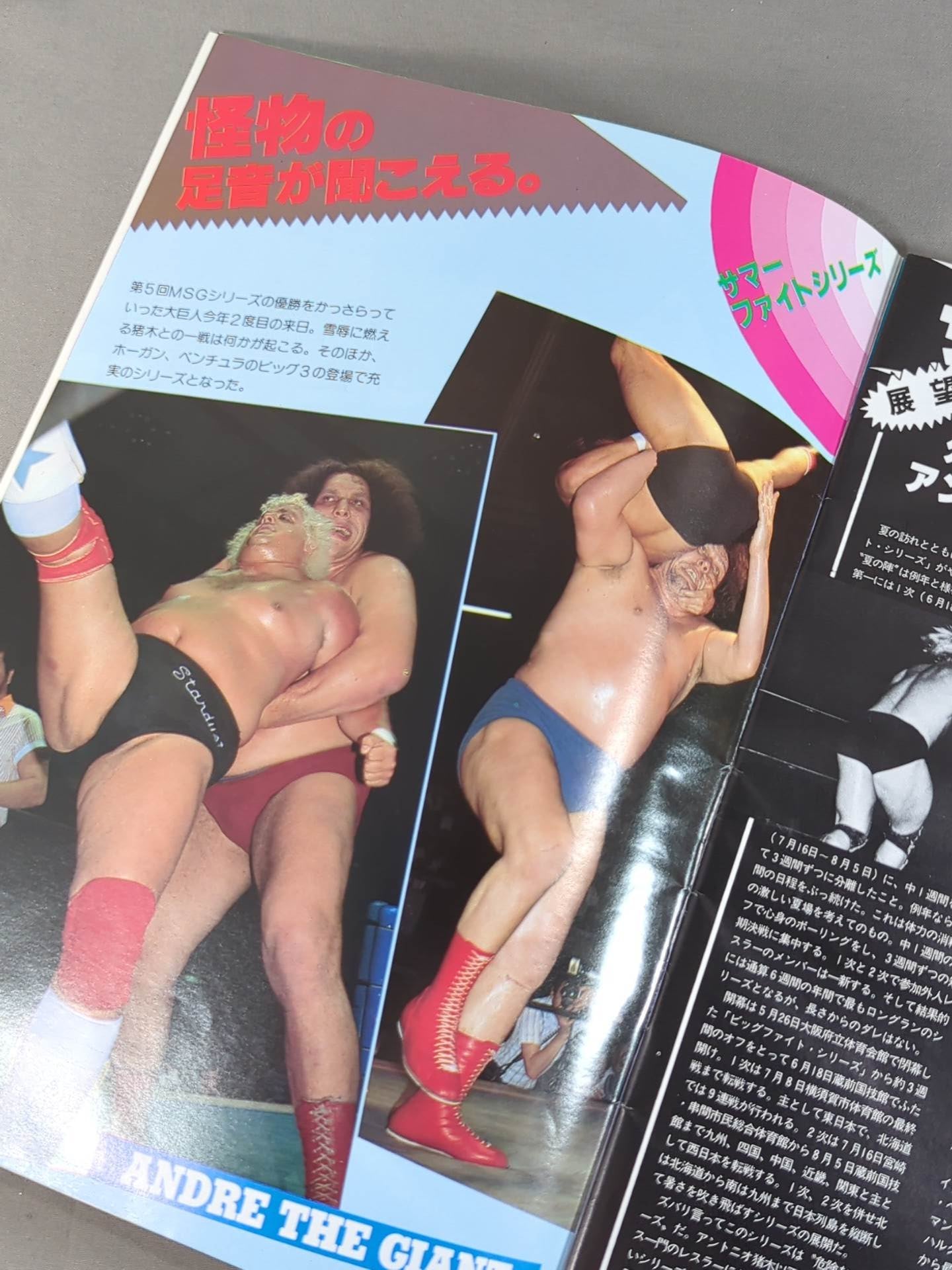 THE WRESTLER サマー・ファイト・シリーズ Vol.9