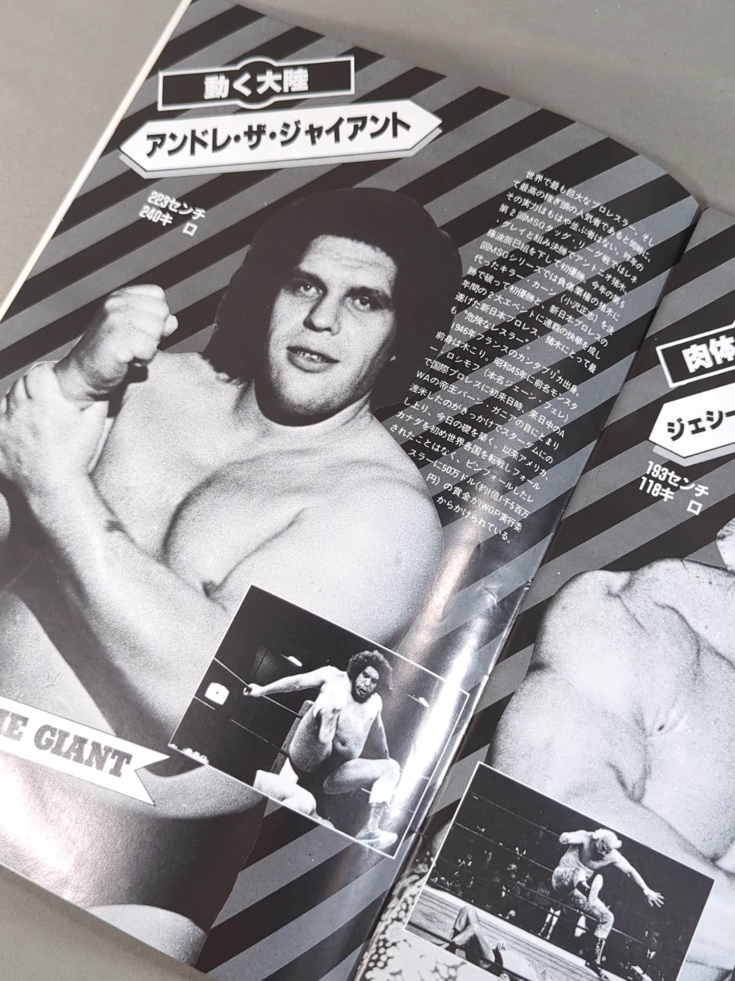 THE WRESTLER サマー・ファイト・シリーズ Vol.9