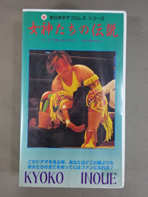 The Legend of the Goddesses V. Kyoko Inoue