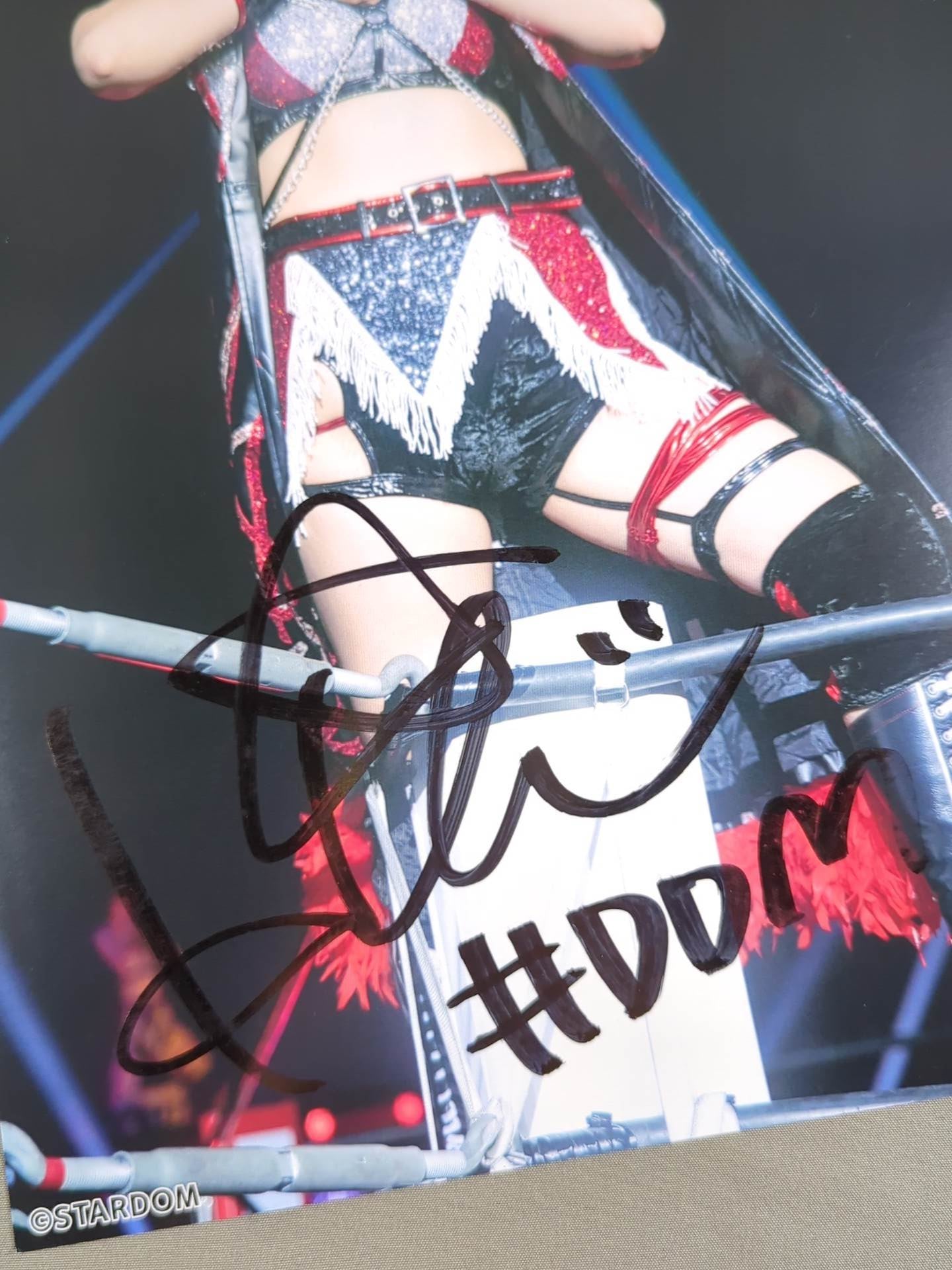 HIMEKA hand signed autograph Starda Pro-Photo (P-3)