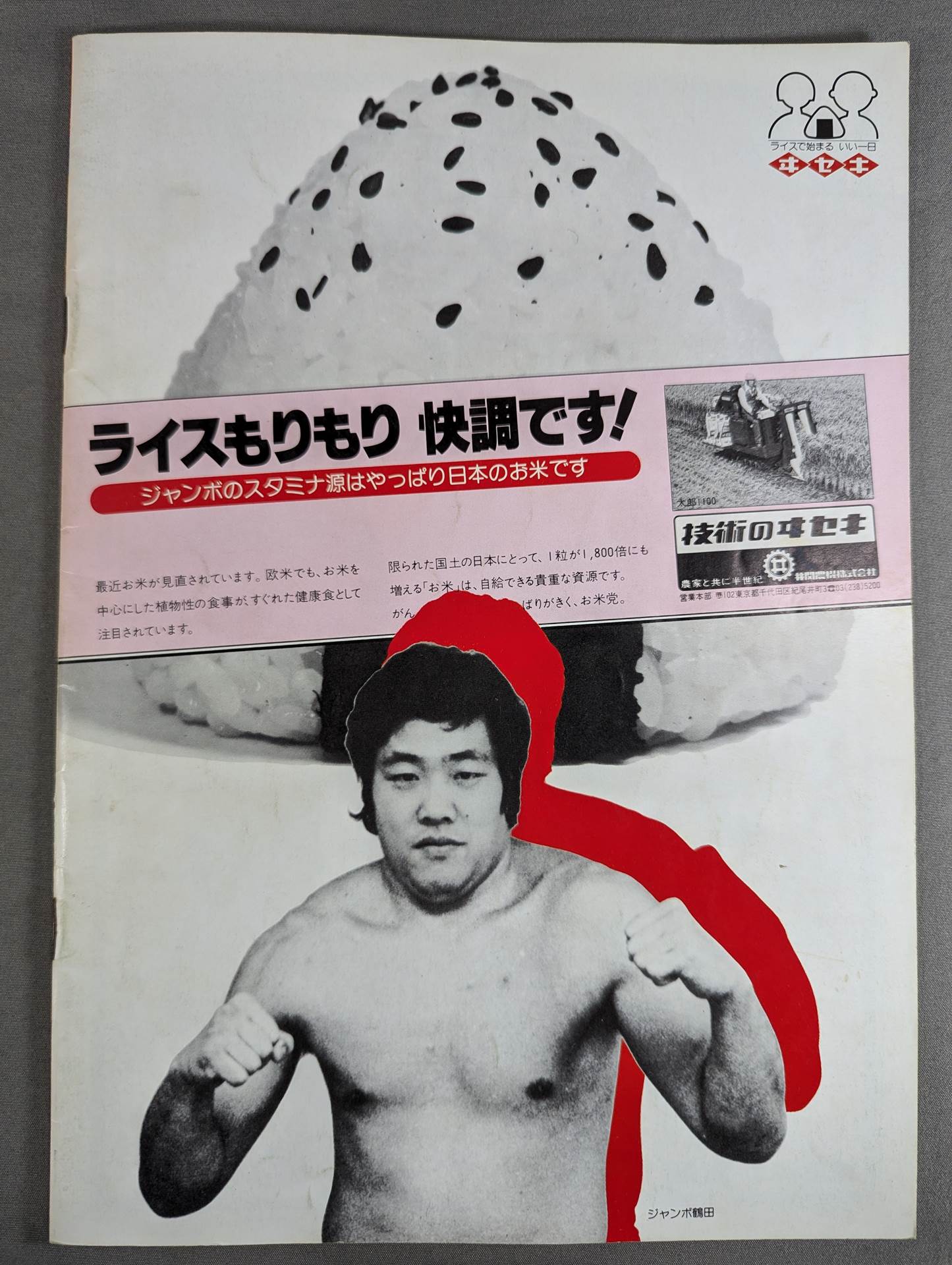 ★レイスvs鶴田 NWA戦★ 79ジャイアント・シリーズ