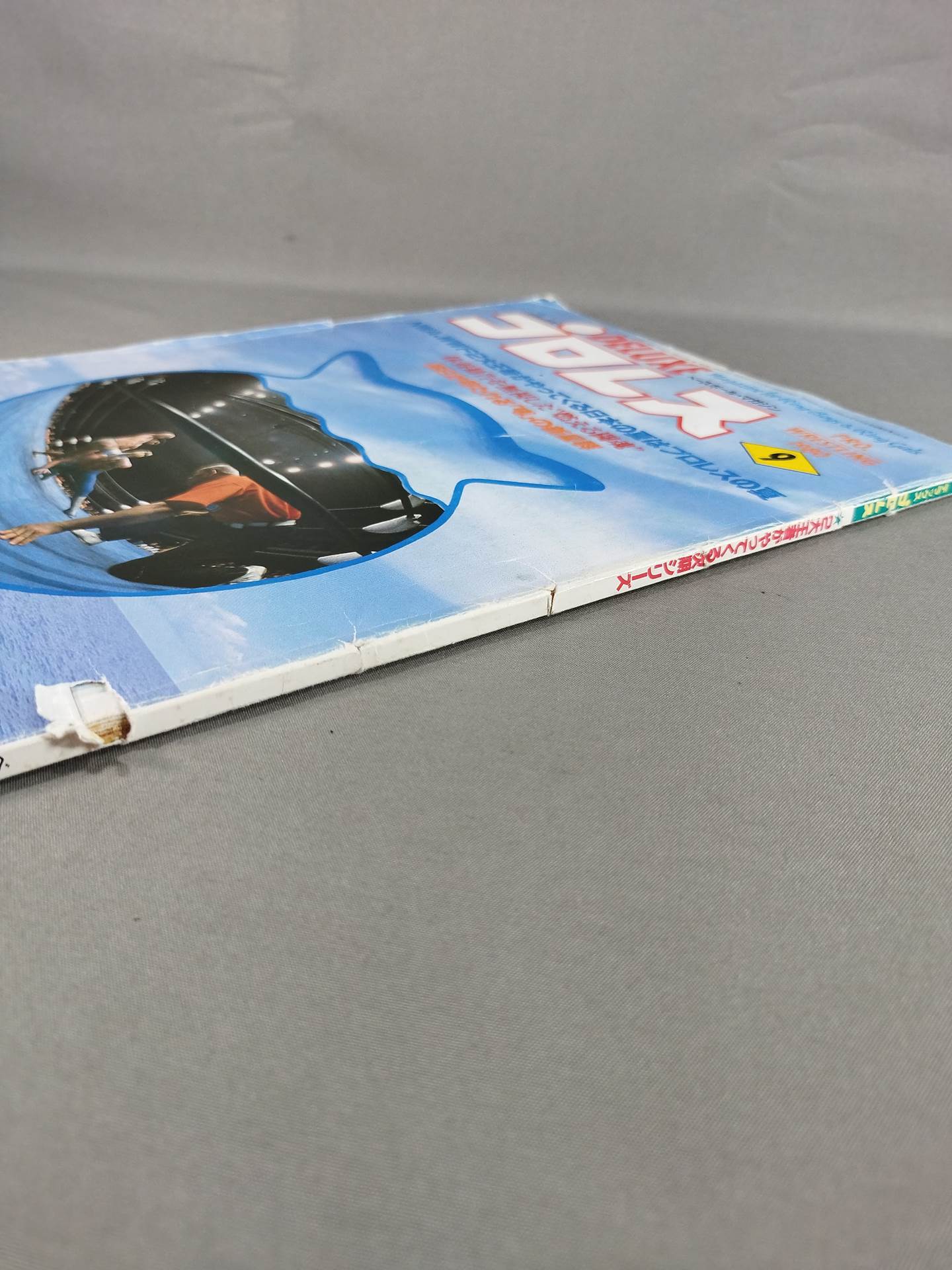 Deluxe Pro Wrestling September 1980