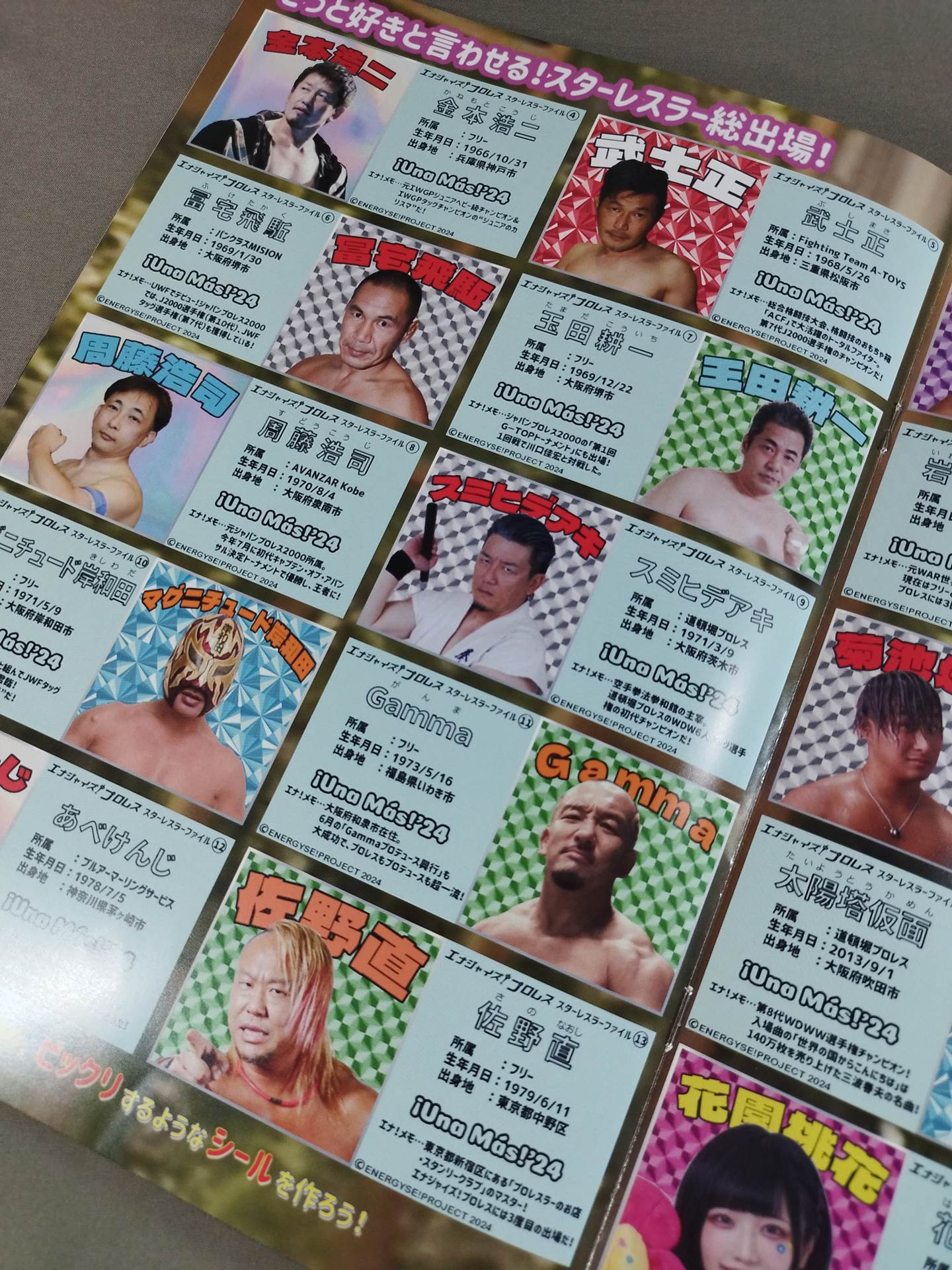 エナジャイズ!プロレス OFFICIAL GUIDE BOOK Vol.4