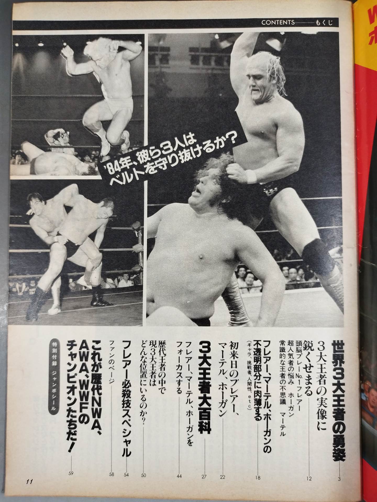 Pro Wrestling Album 47 Champions