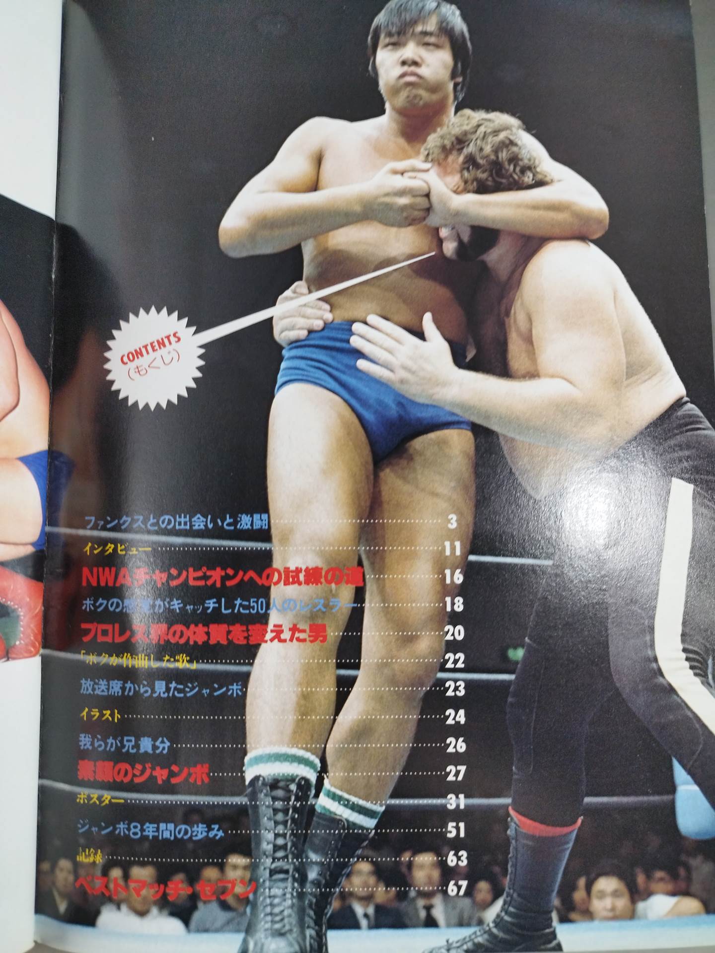 Pro Wrestling Album 10 Jumbo Tsuruta