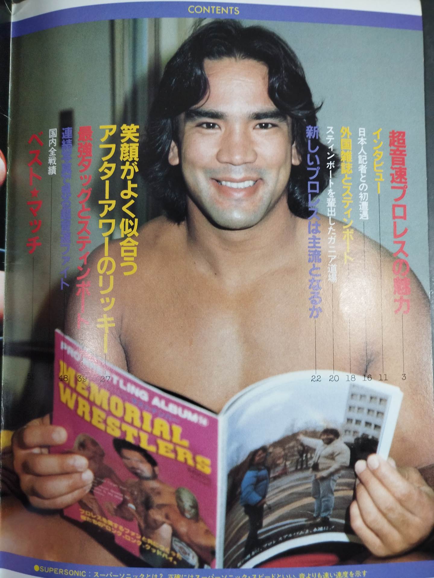 Pro Wrestling Album 30 by Ricky Stinboat