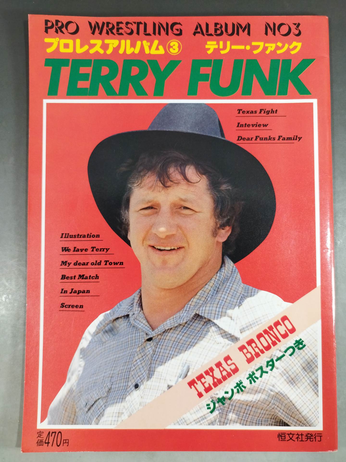 Pro Wrestling Album 3 by Terry Funk