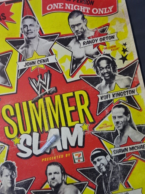 WWE SUMMERSLAM 2009 / サマースラム 2009 PPVフルサイズポスター